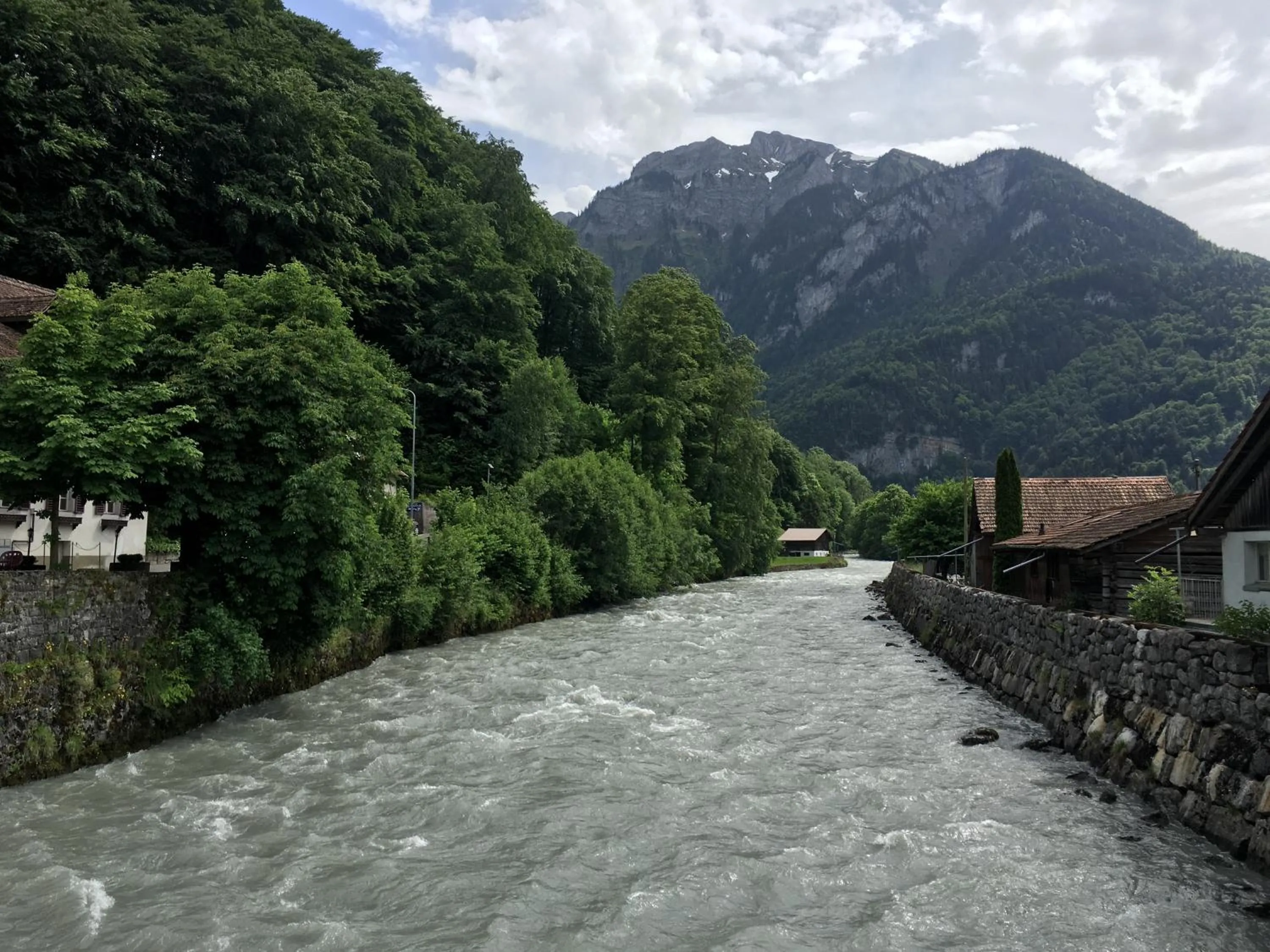 Natural landscape in Historic Hotel Steinbock
