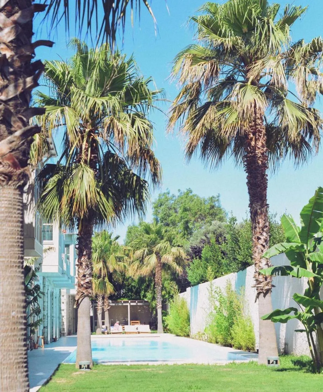 Garden in Manastir Alacati Hotel