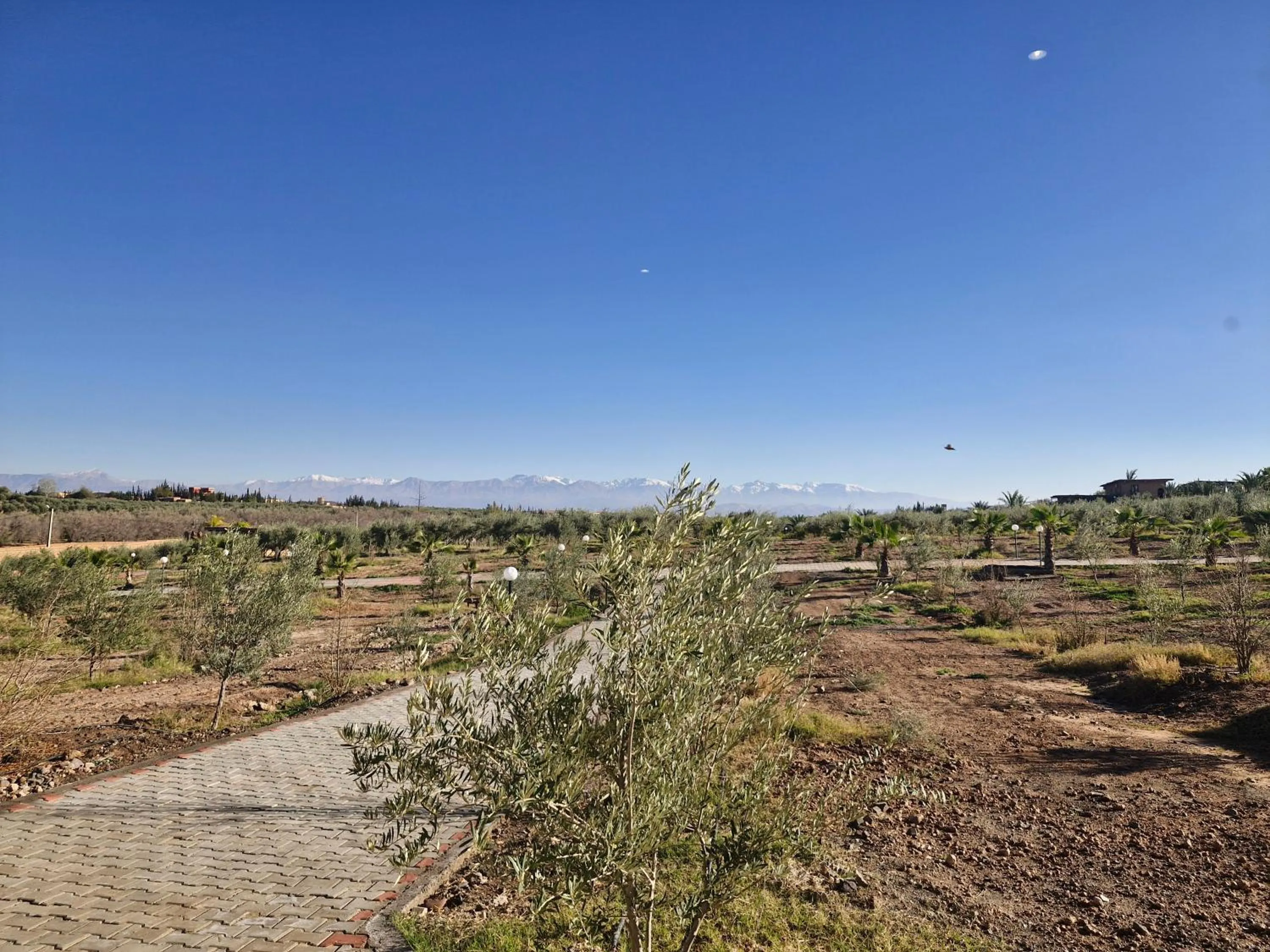 Le Parc des Oliviers Ecolodge