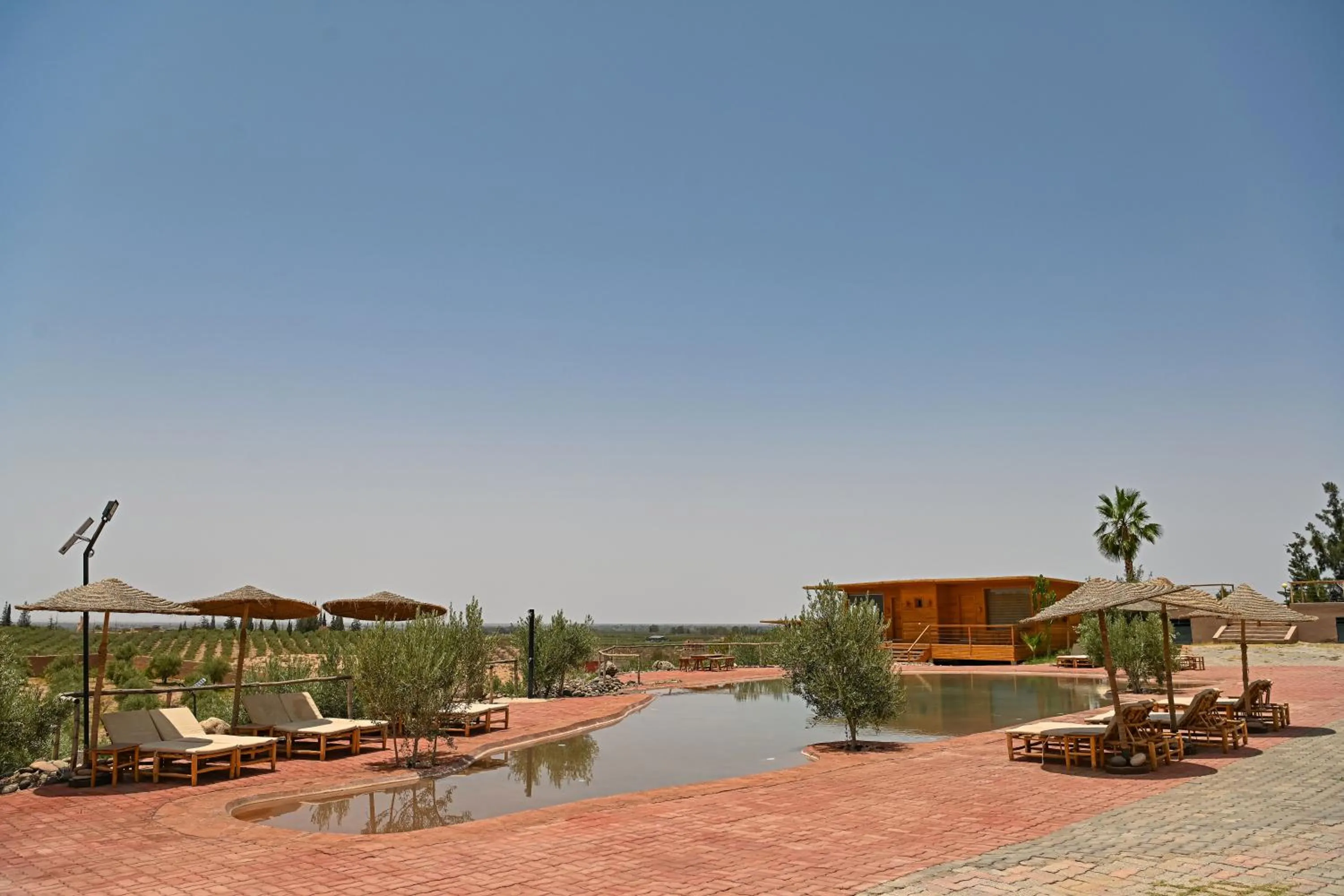 Le Parc des Oliviers