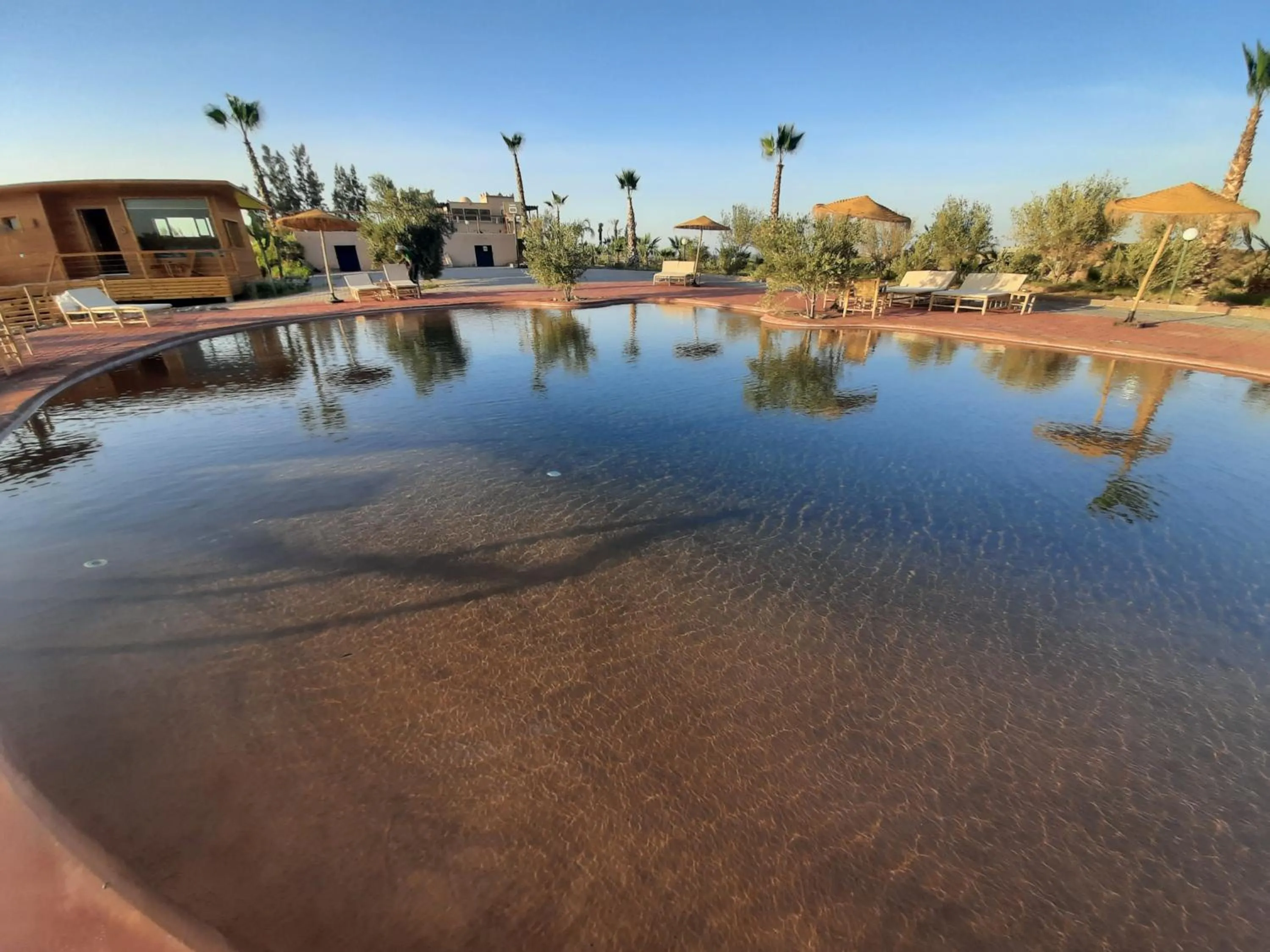Swimming Pool in Le Parc des Oliviers