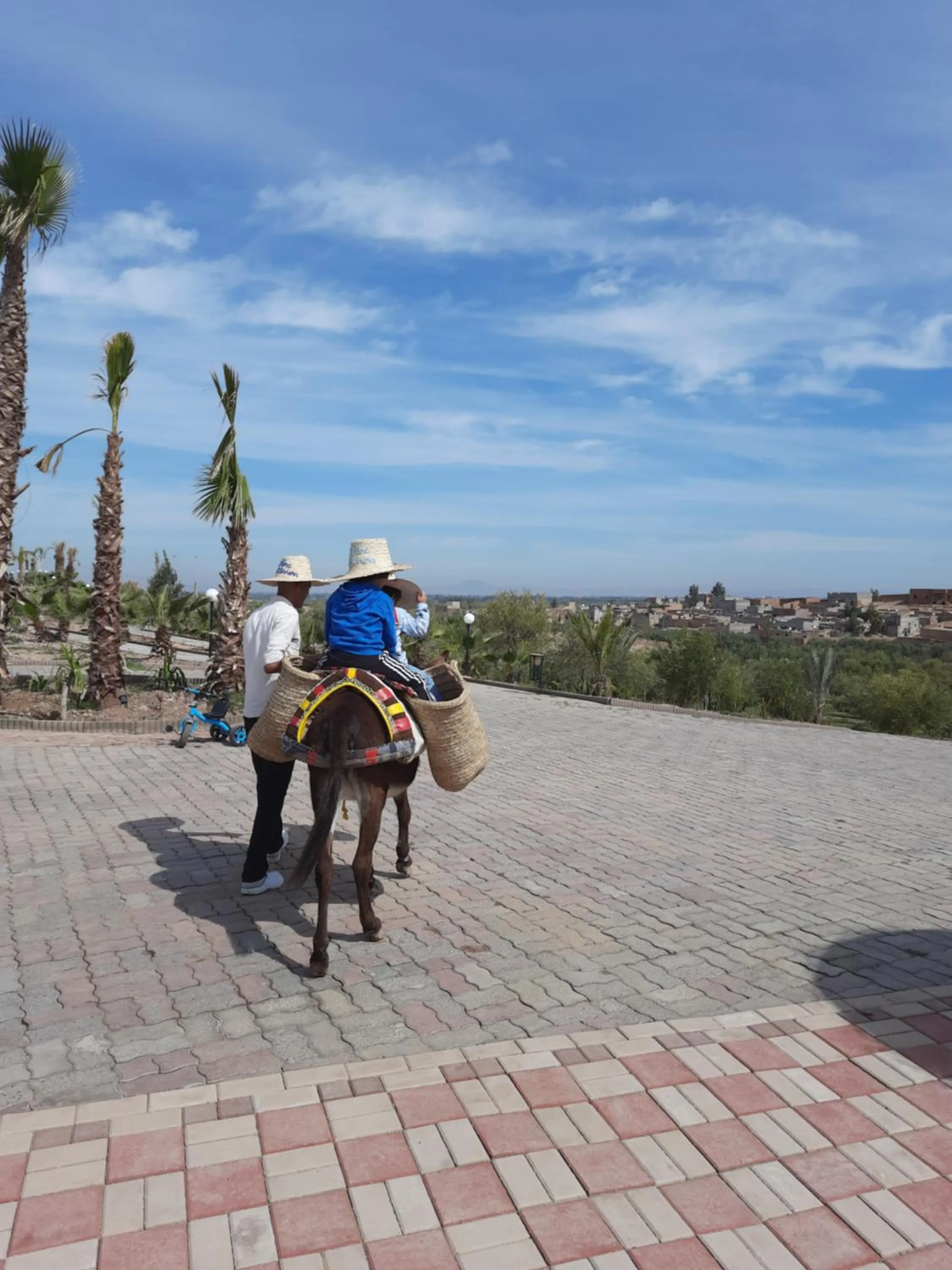 Le Parc des Oliviers