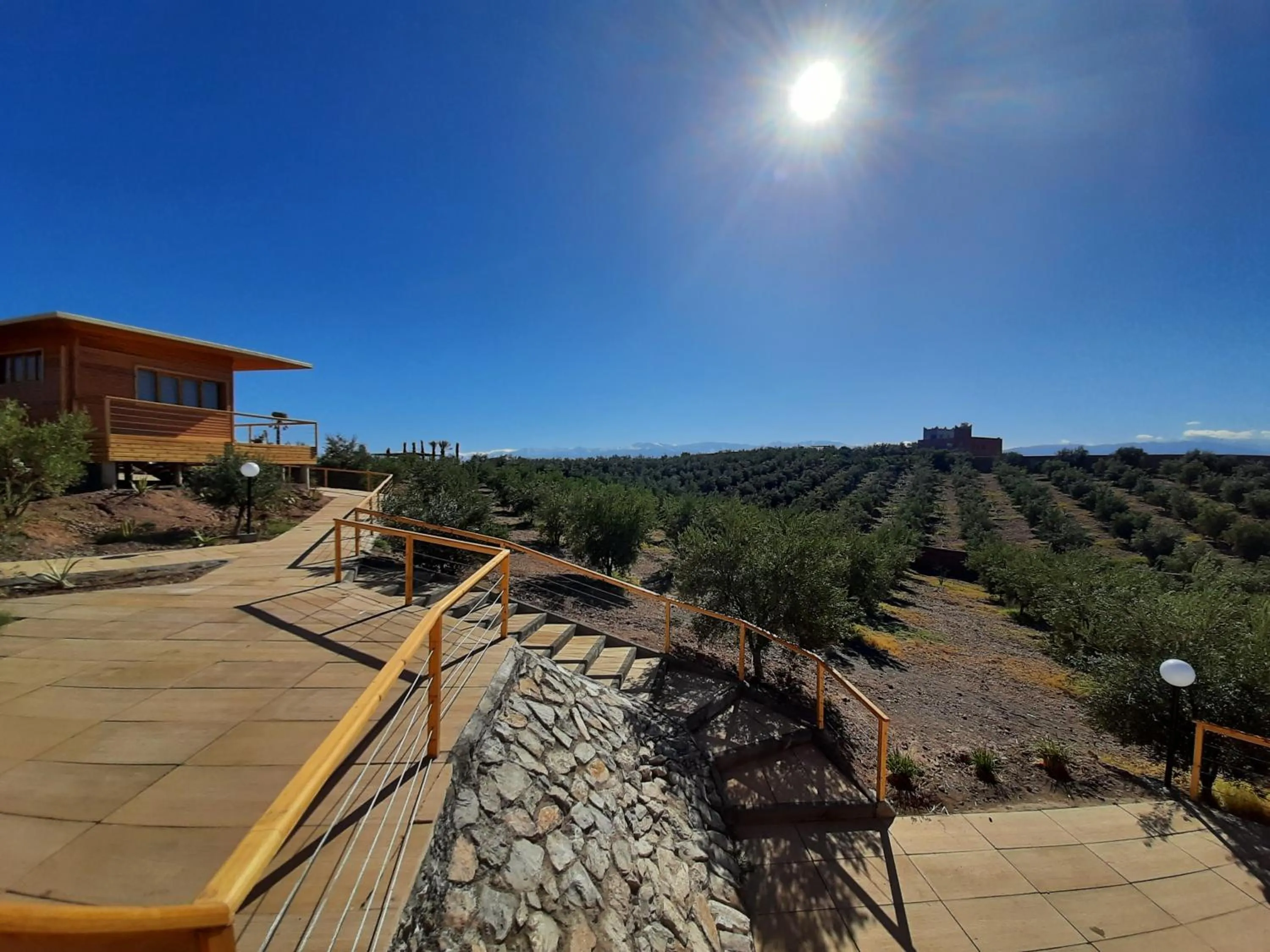 Le Parc des Oliviers