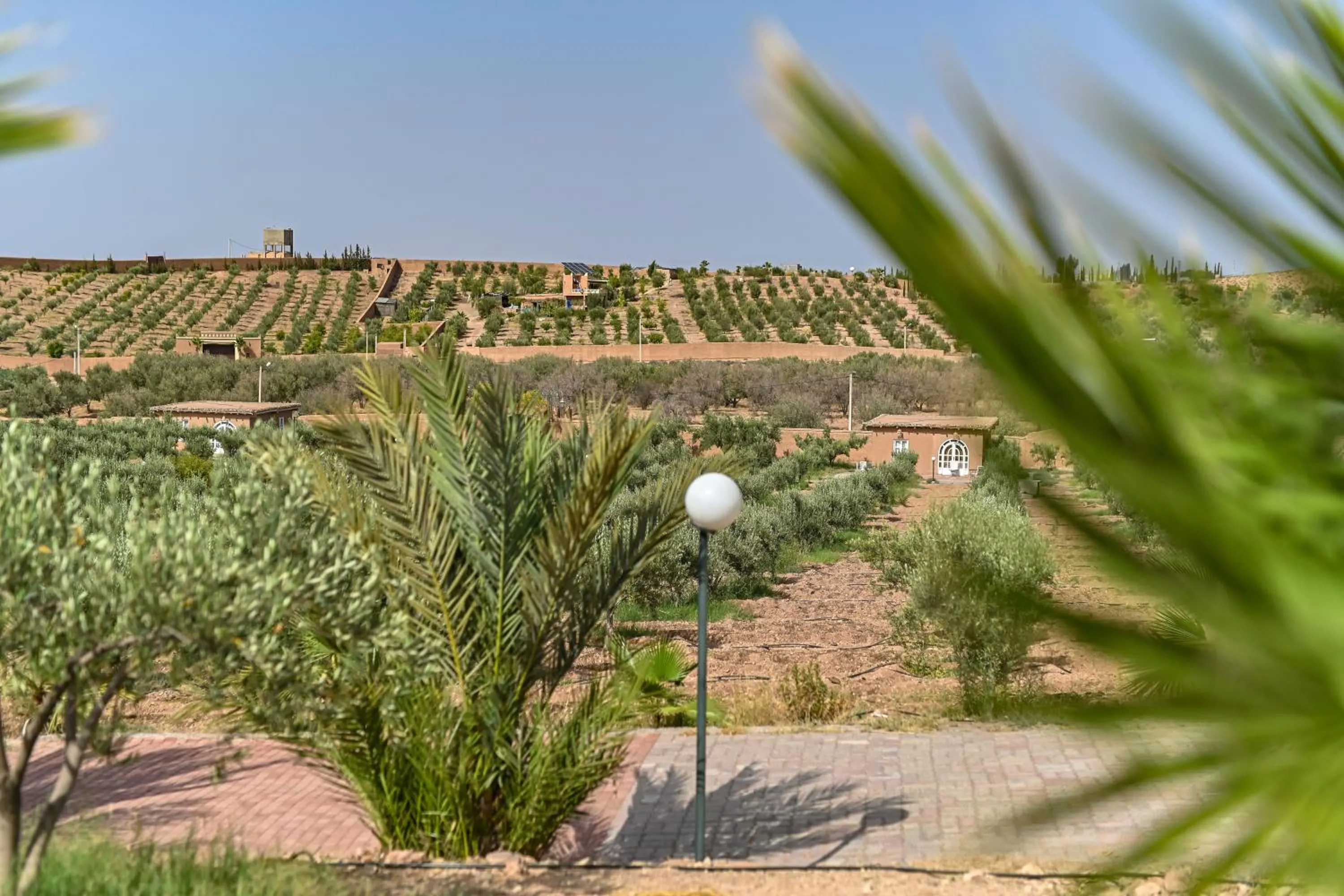 Le Parc des Oliviers