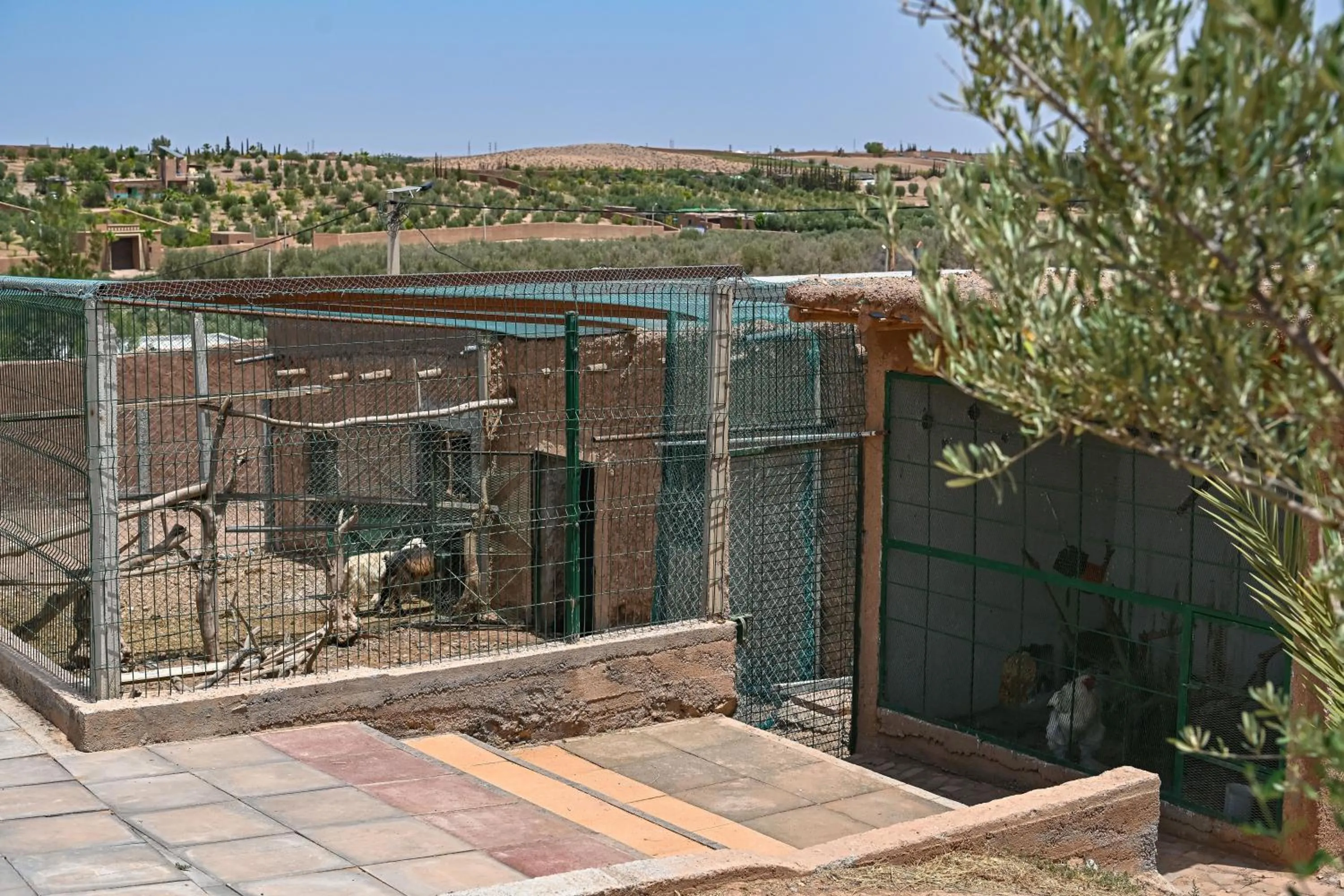 Le Parc des Oliviers