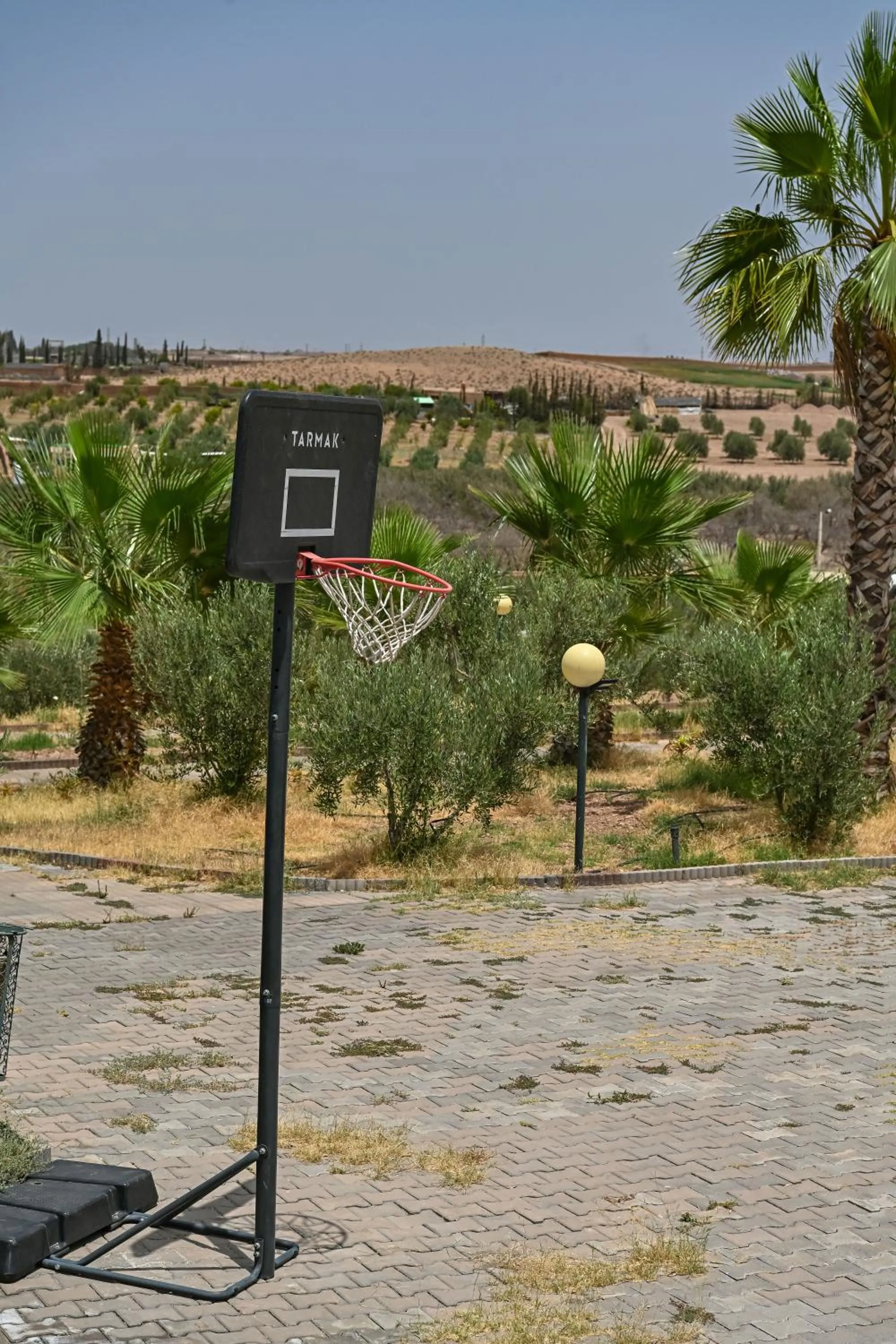 Le Parc des Oliviers