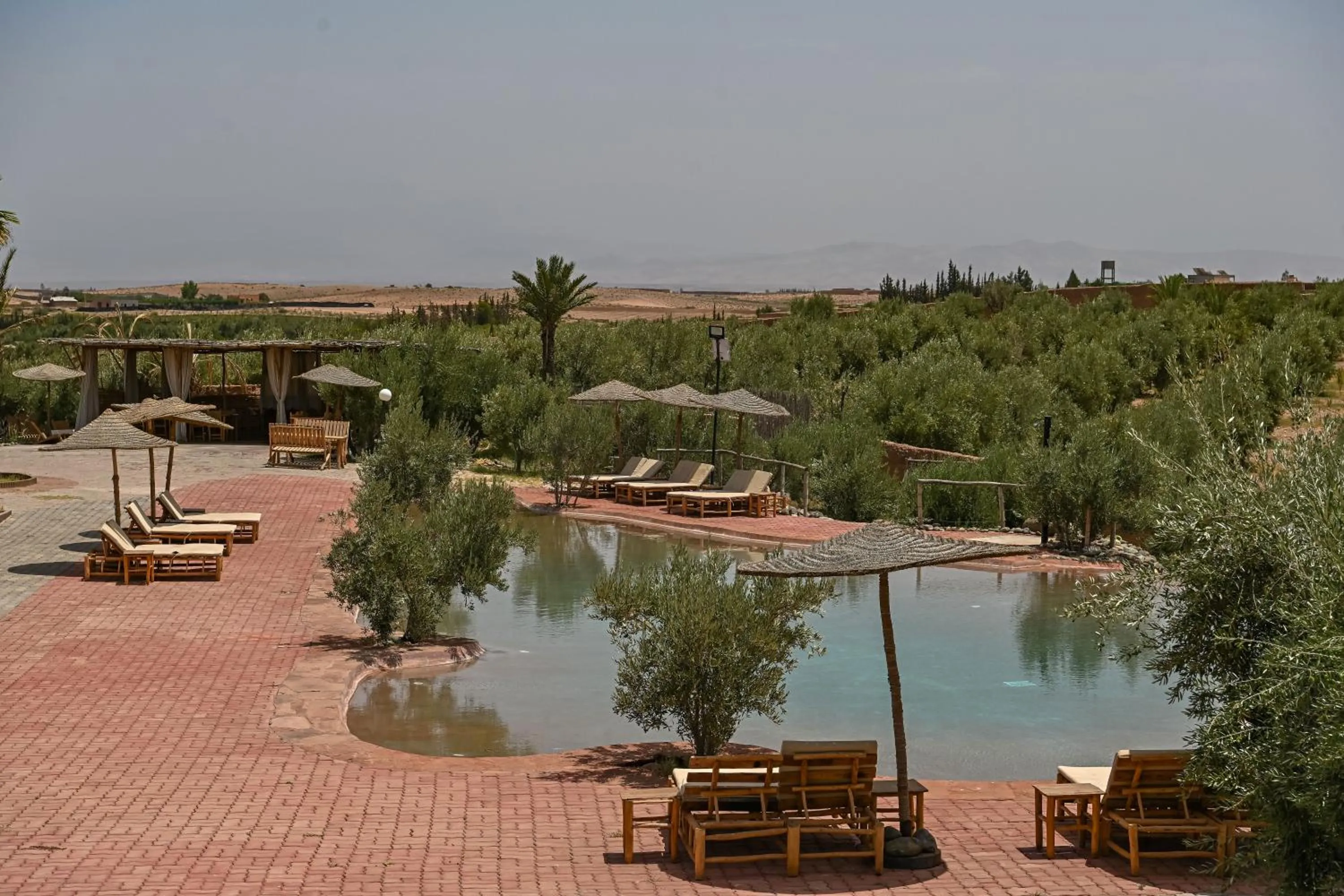 Le Parc des Oliviers