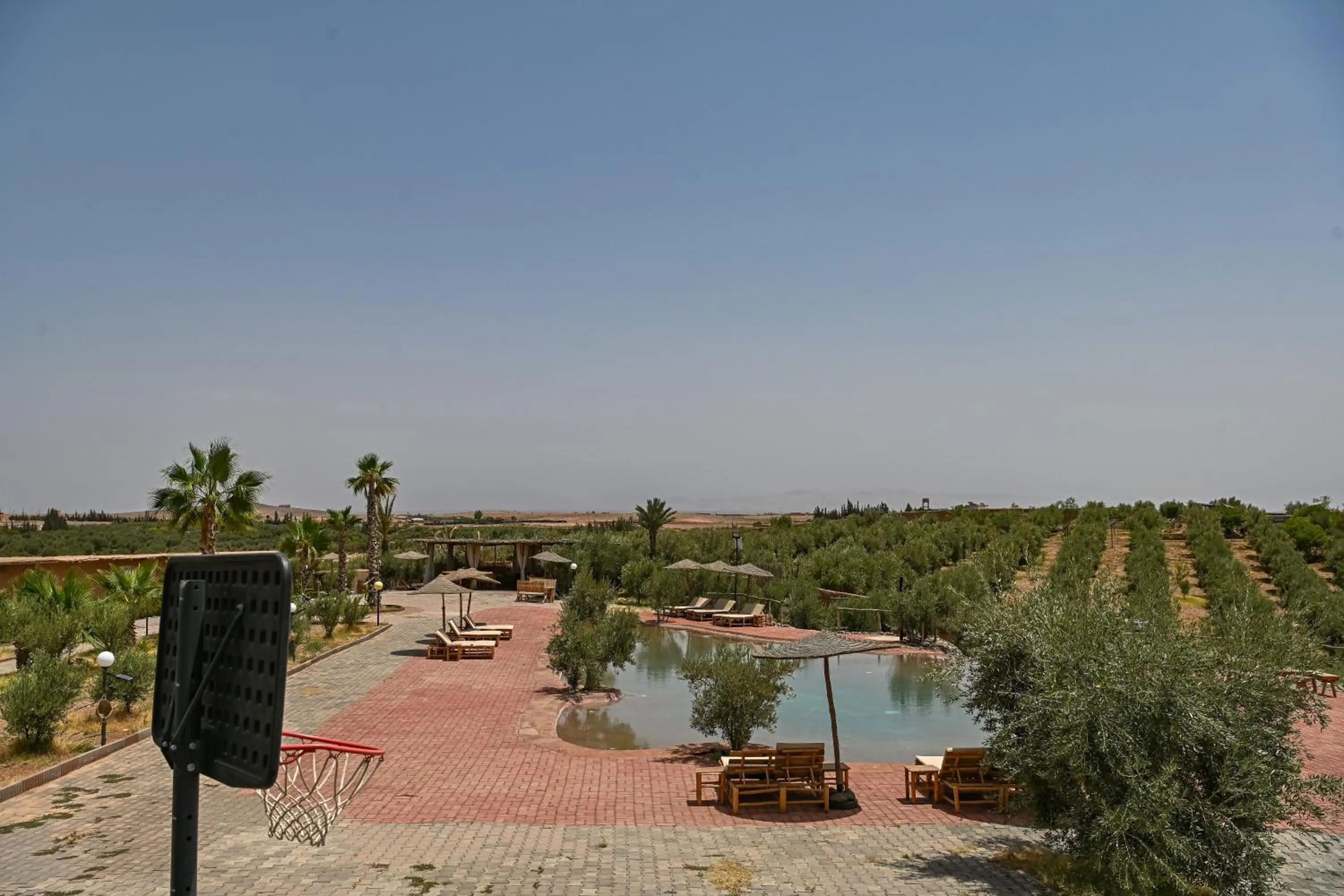 Le Parc des Oliviers