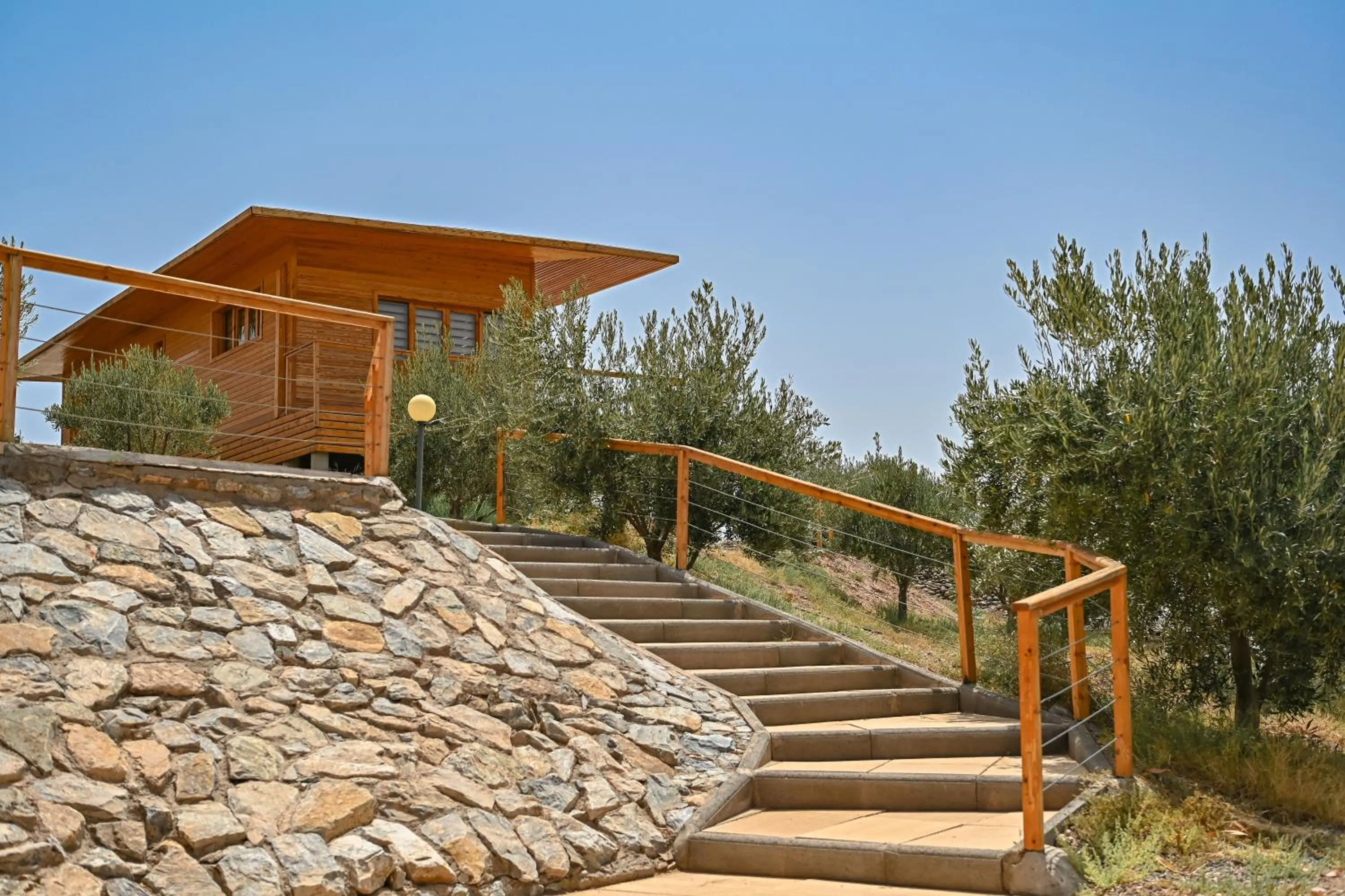 Le Parc des Oliviers