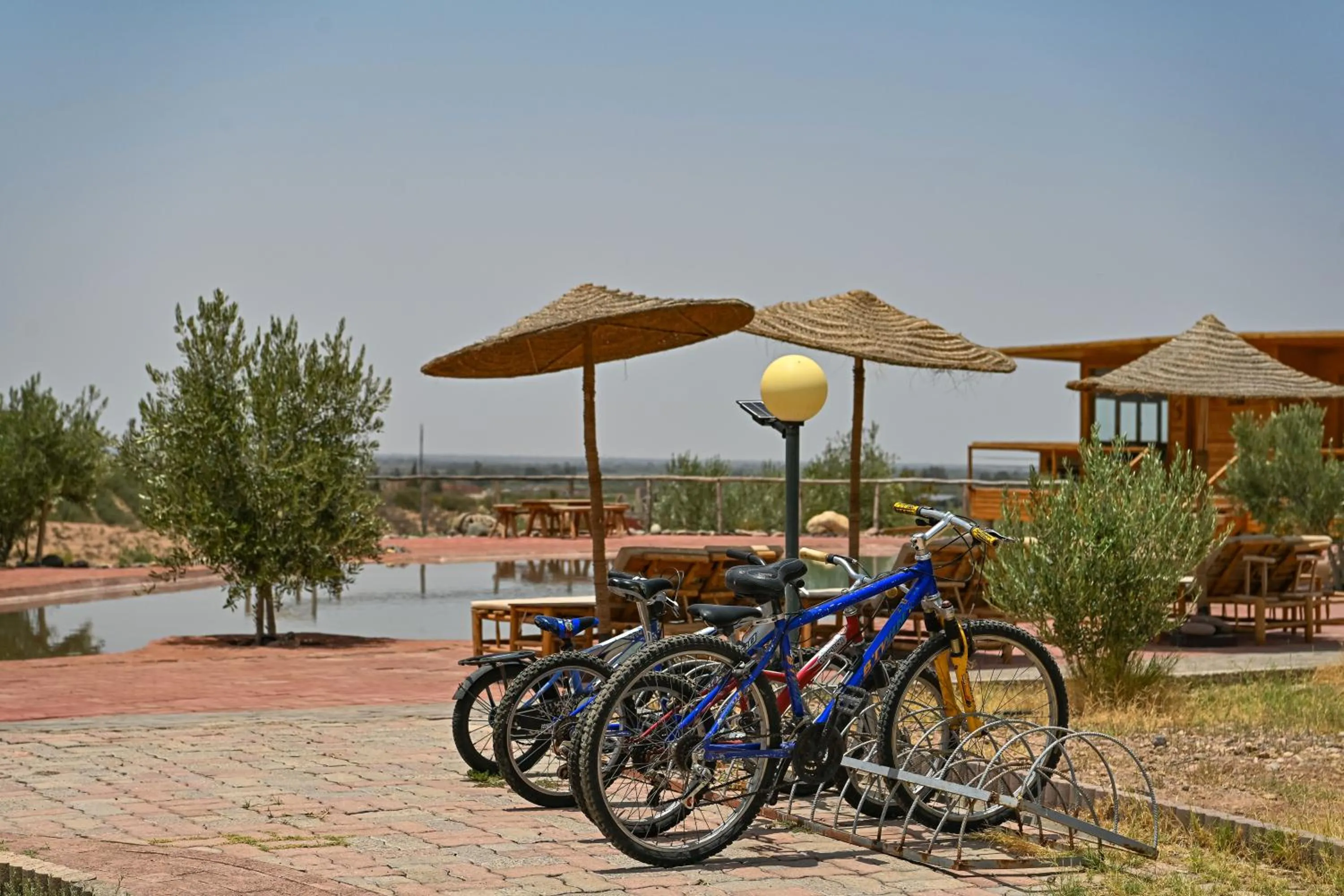 Le Parc des Oliviers