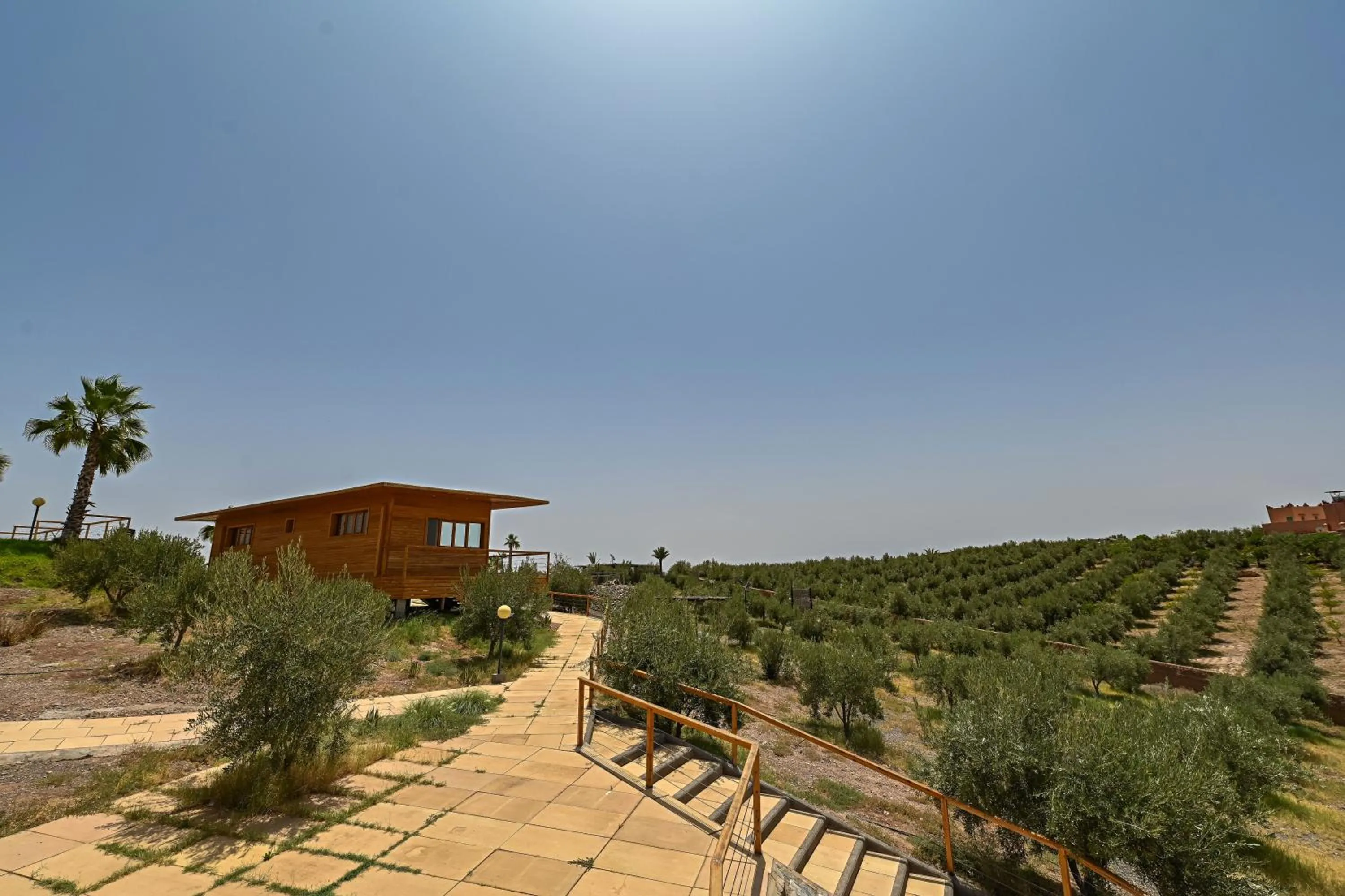 Le Parc des Oliviers