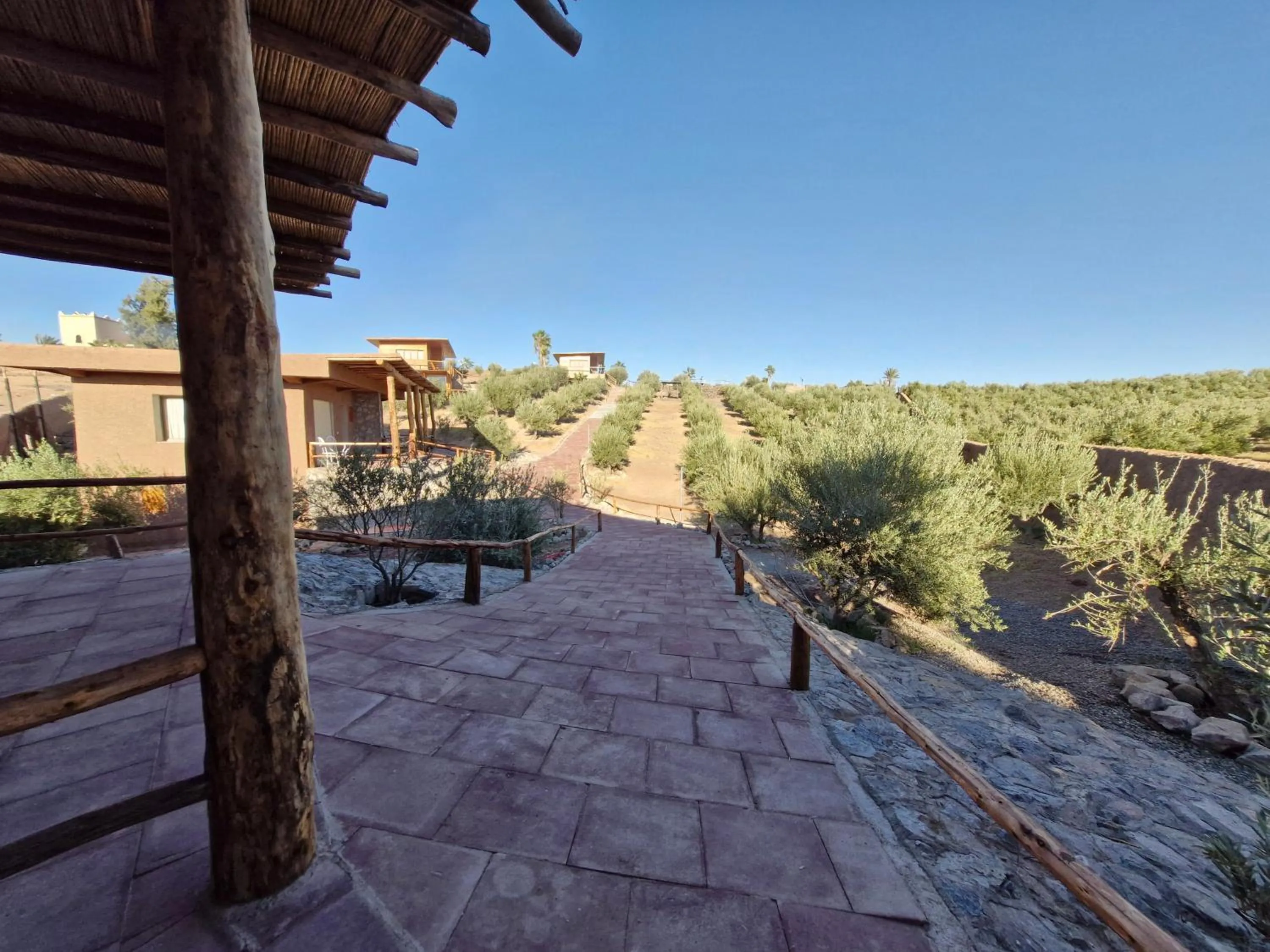 Le Parc des Oliviers Ecolodge