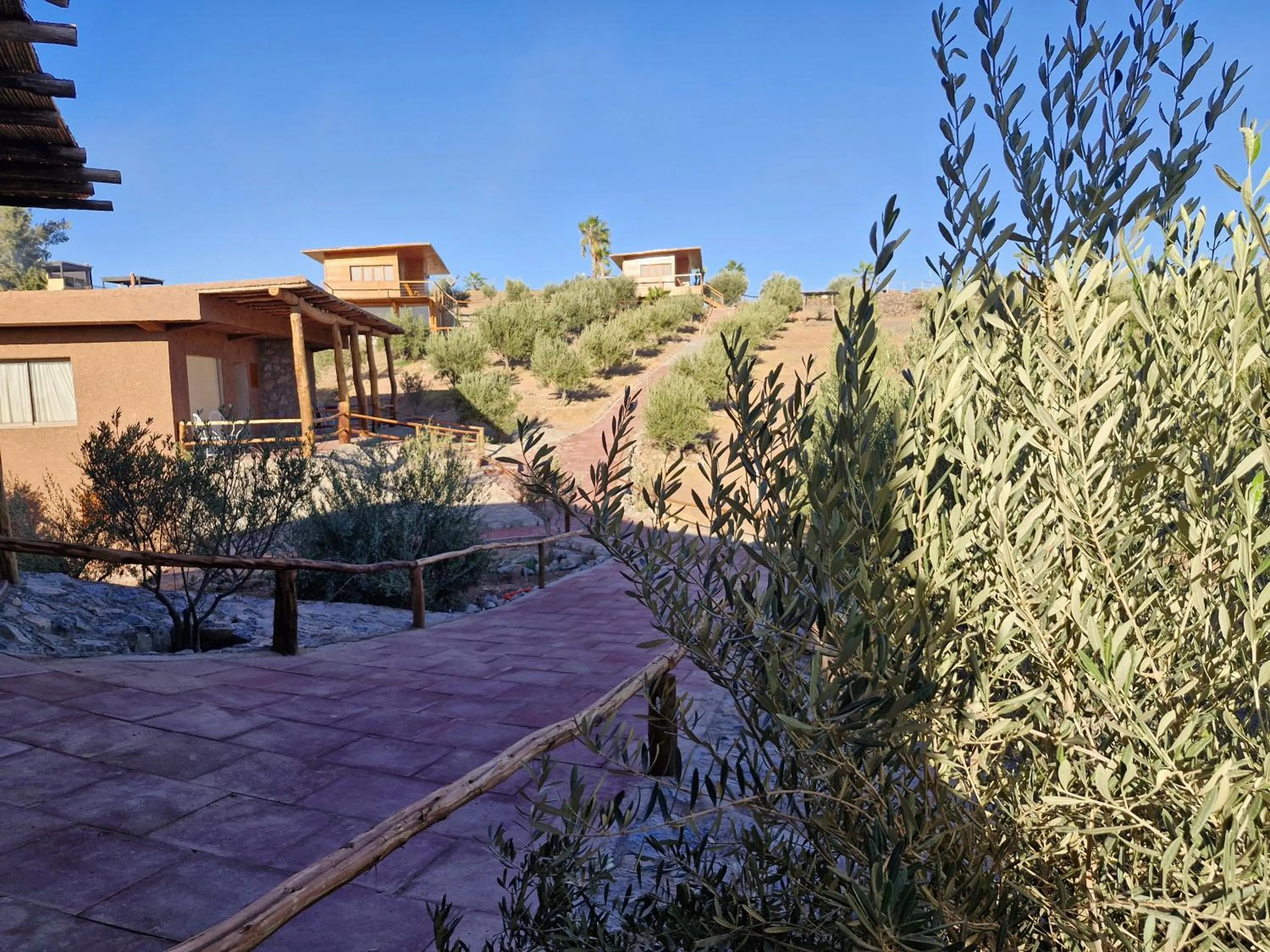 Le Parc des Oliviers Ecolodge