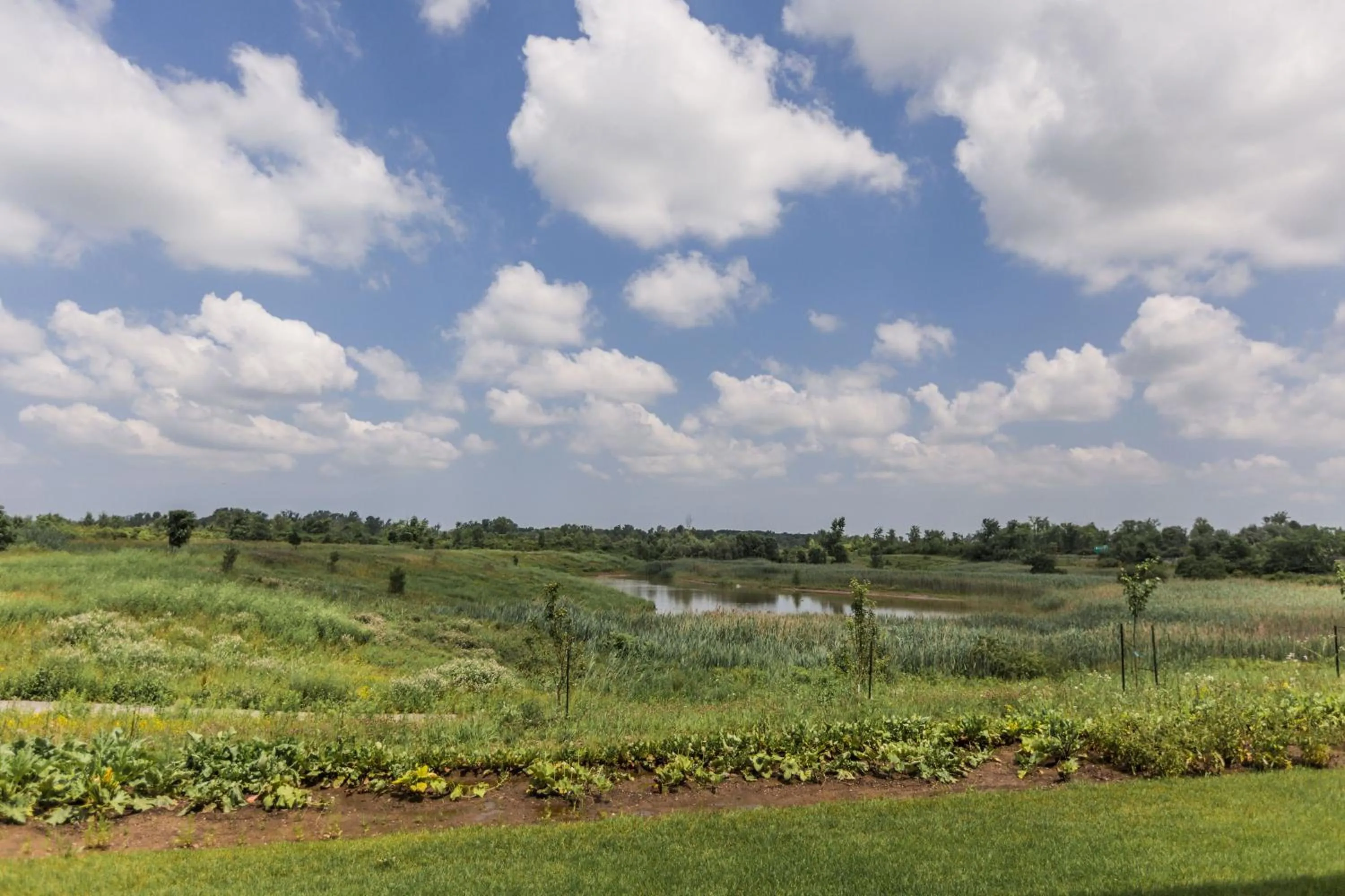 Other in Holiday Inn Express & Suites - Welland