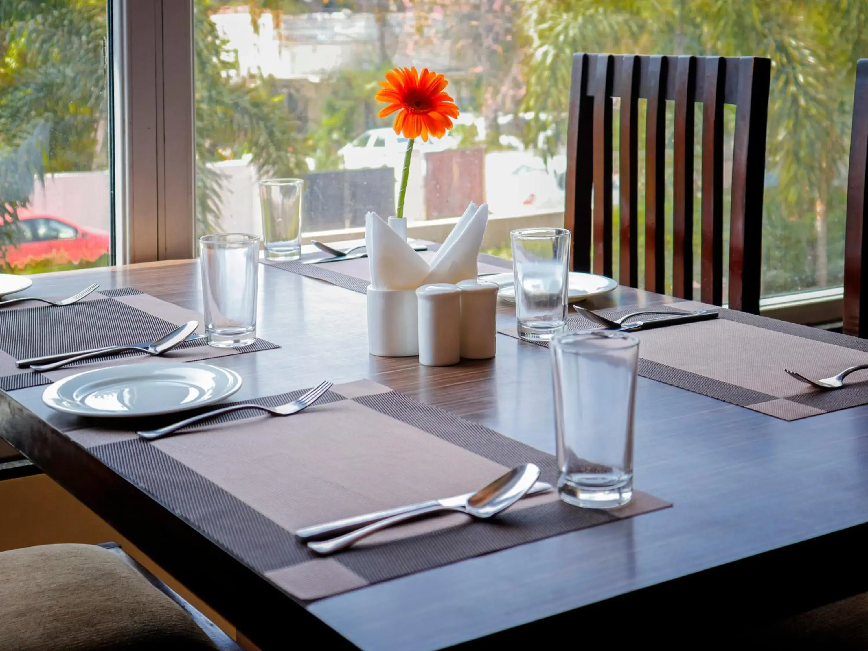 Restaurant/places to eat in Spree Hotel Jaipur Restaurant/places to eat in Spree Hotel Jaipur