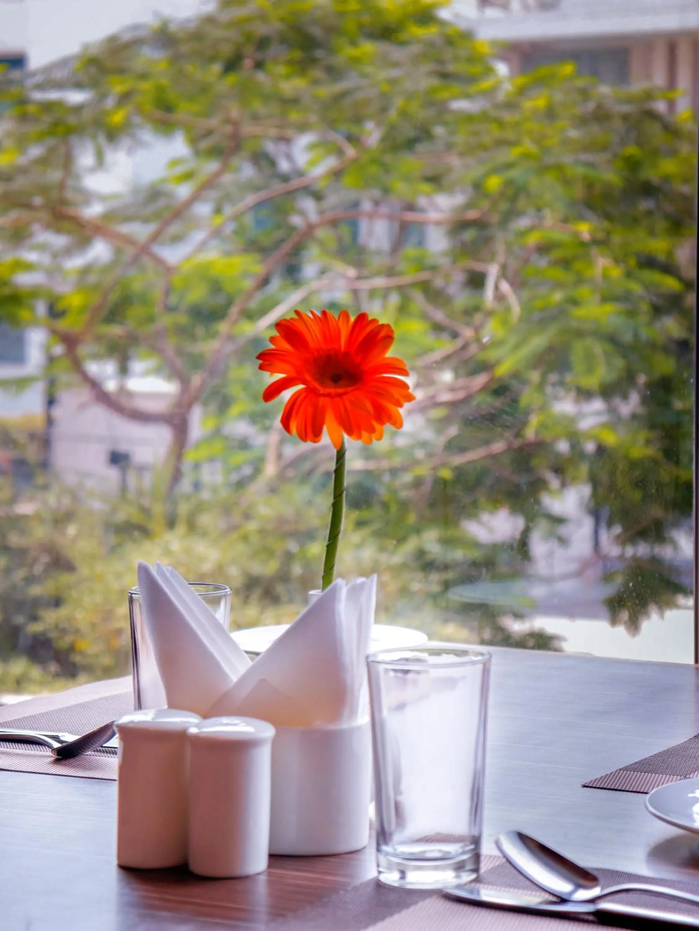 Restaurant/places to eat in Spree Hotel Jaipur