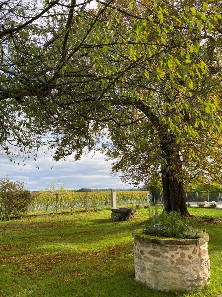 Garden view in Le Jardin dans les vignes