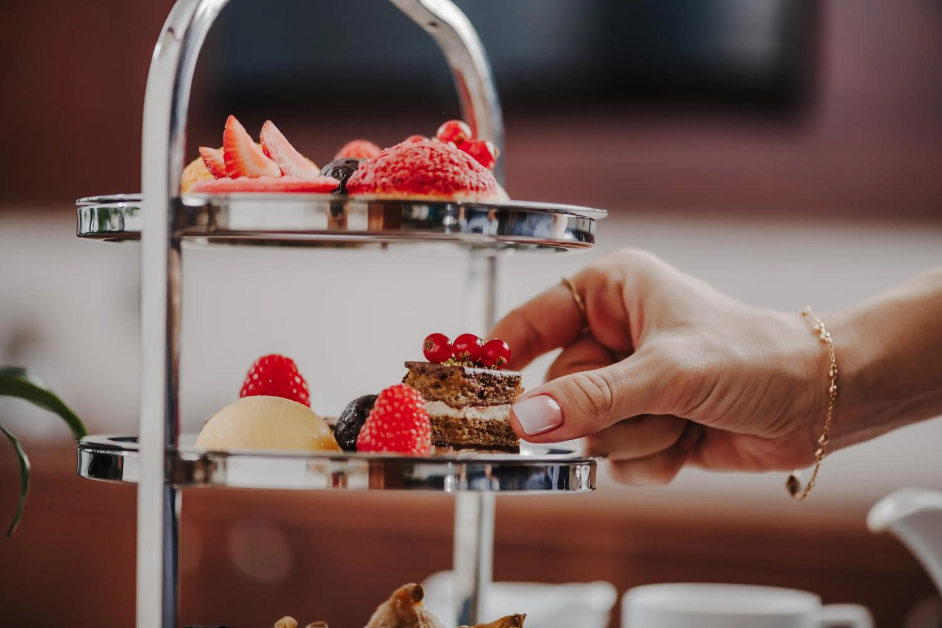 Restaurant/places to eat in The Arkin Colony Hotel