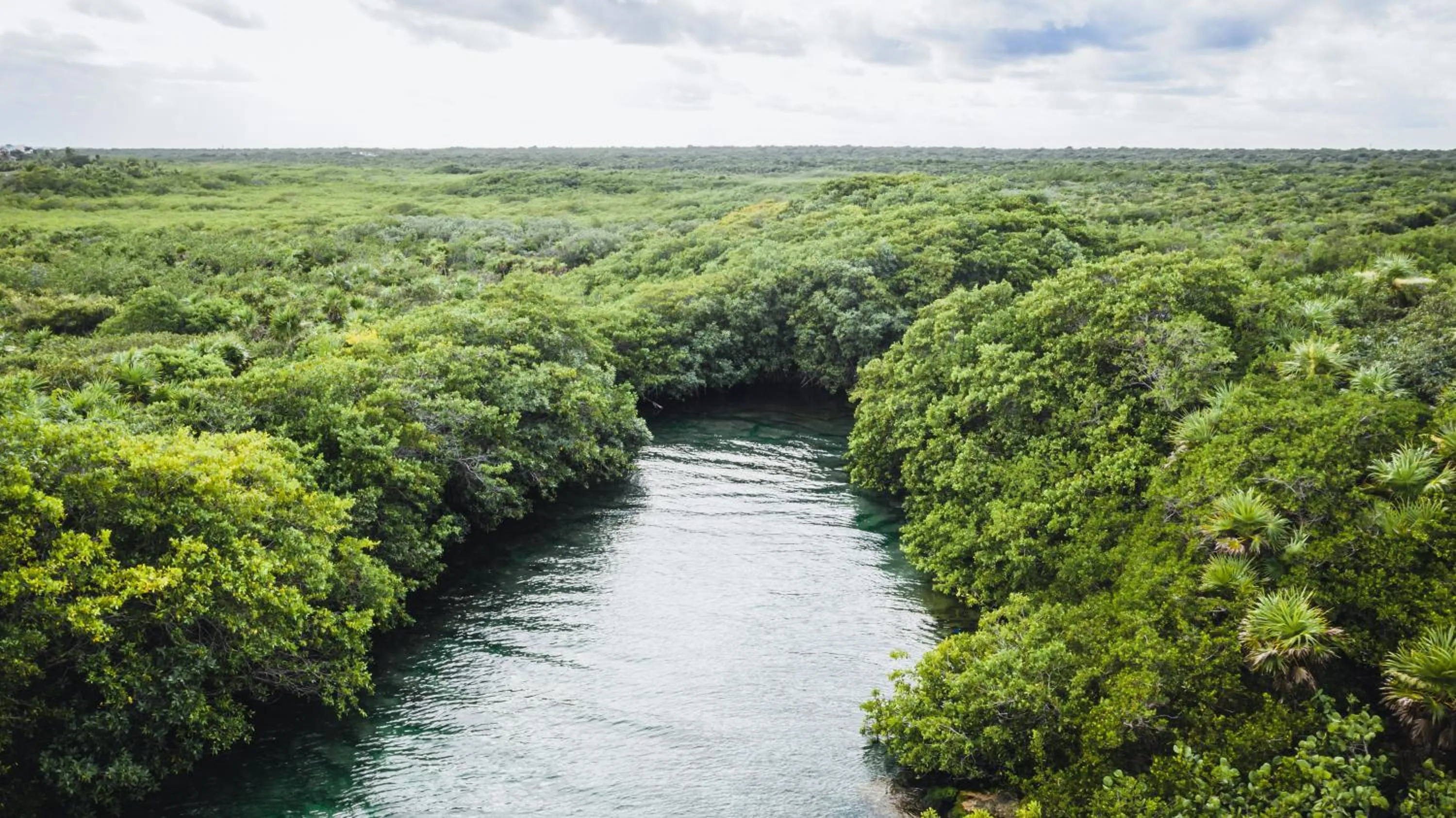 Nearby landmark in Fabulous & Exclusive Apartments With Sea View Pool BBQ Garden