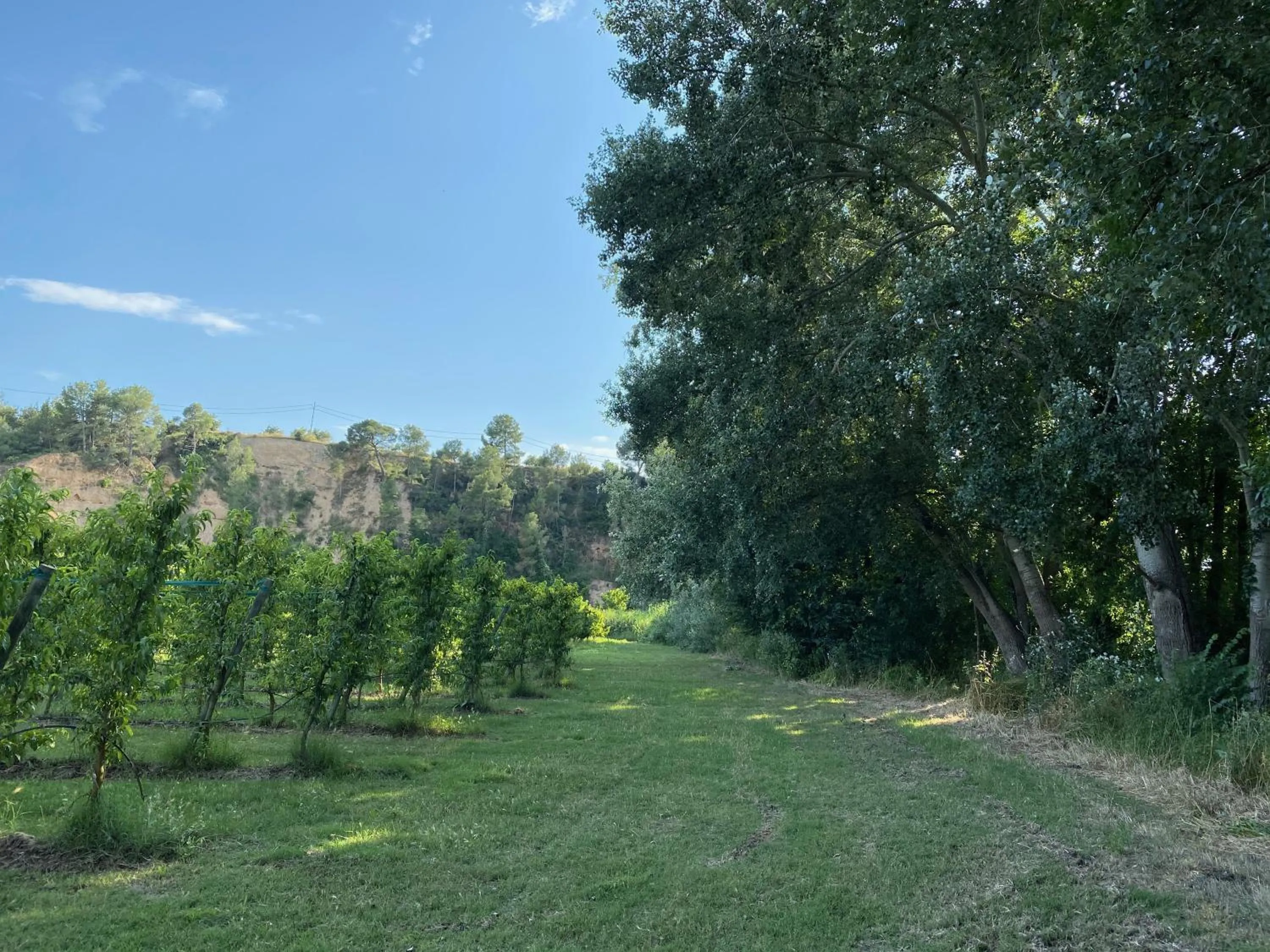 Off site in Hotel Rural Mas de l'Illa