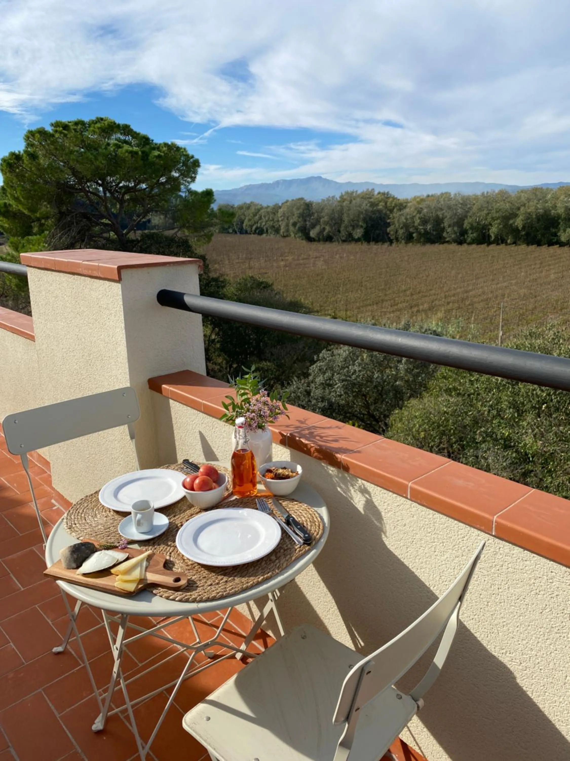 Balcony/Terrace in Hotel Rural Mas de l'Illa