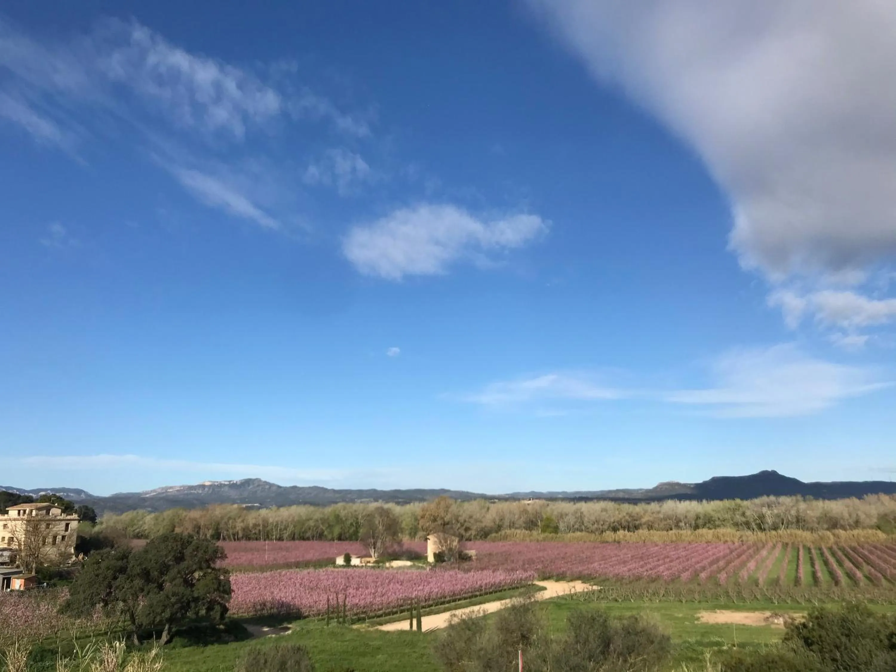 Spring in Hotel Rural Mas de l'Illa