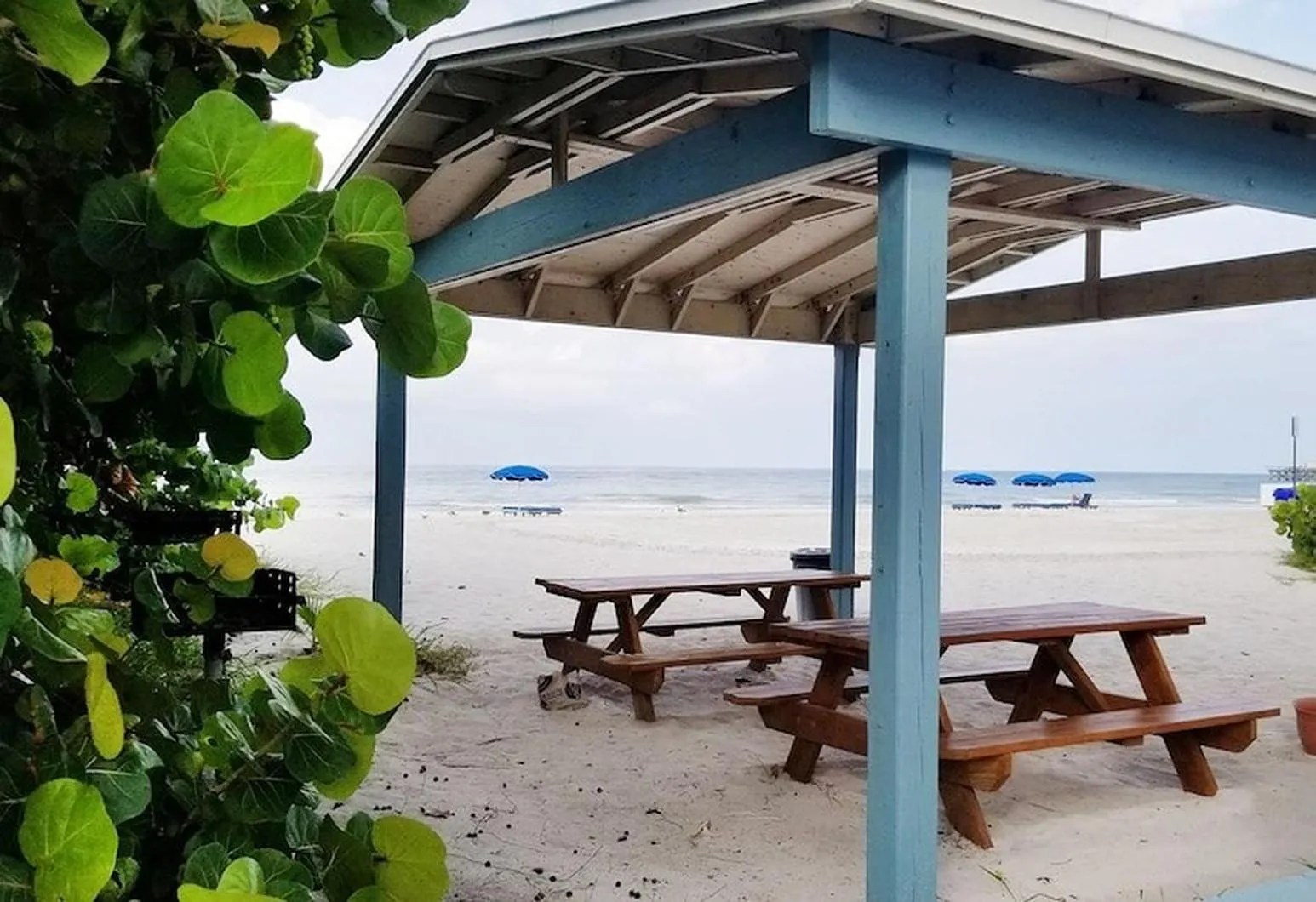 BBQ facilities in Welcome to the best beach anywhere
