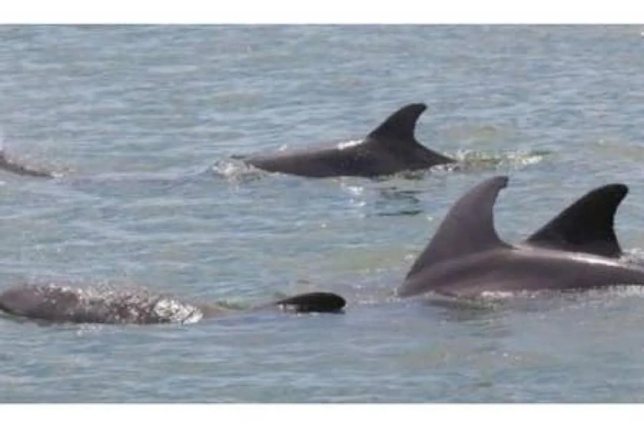 Welcome to the best beach anywhere