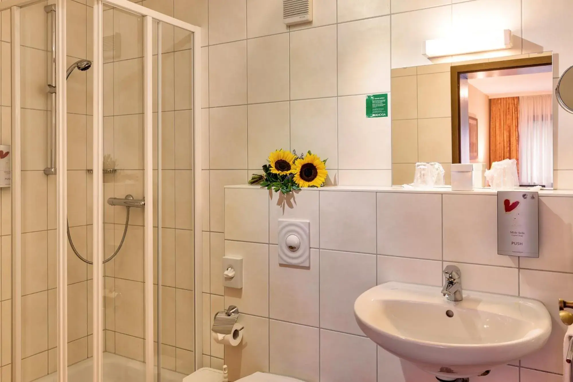 Double Room without Balcony in Hotel Die Kleine Blume Double Room without Balcony in Hotel Die Kleine Blume