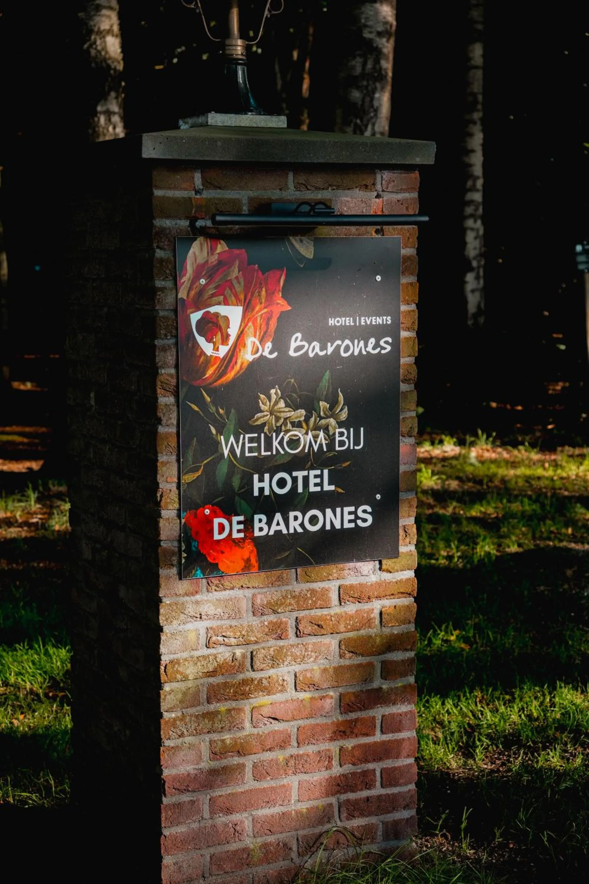 Property logo or sign in Hotel De Barones