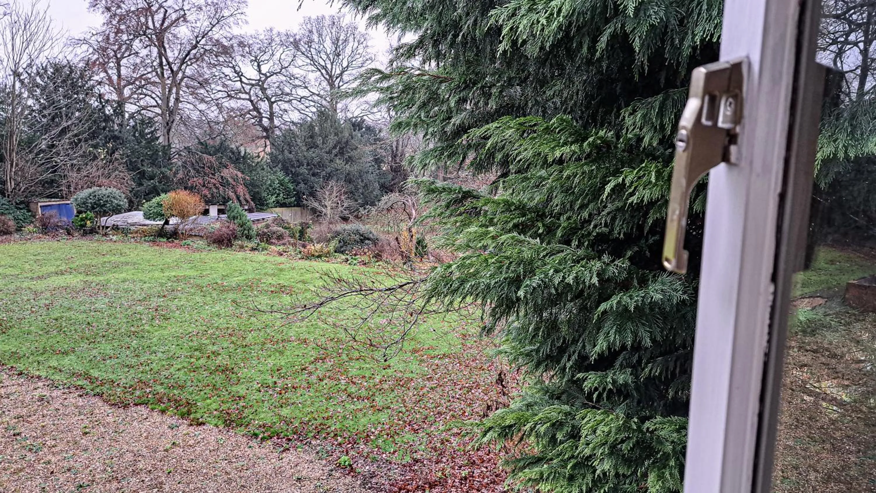 Garden in The Old Vicarage