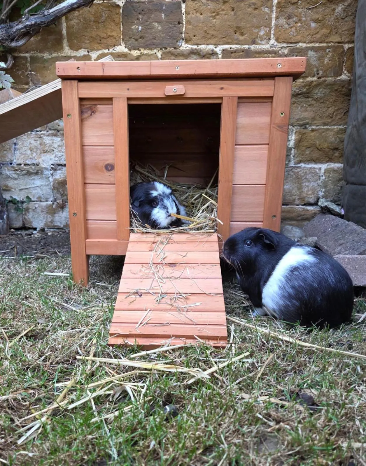Garden in The Old Vicarage
