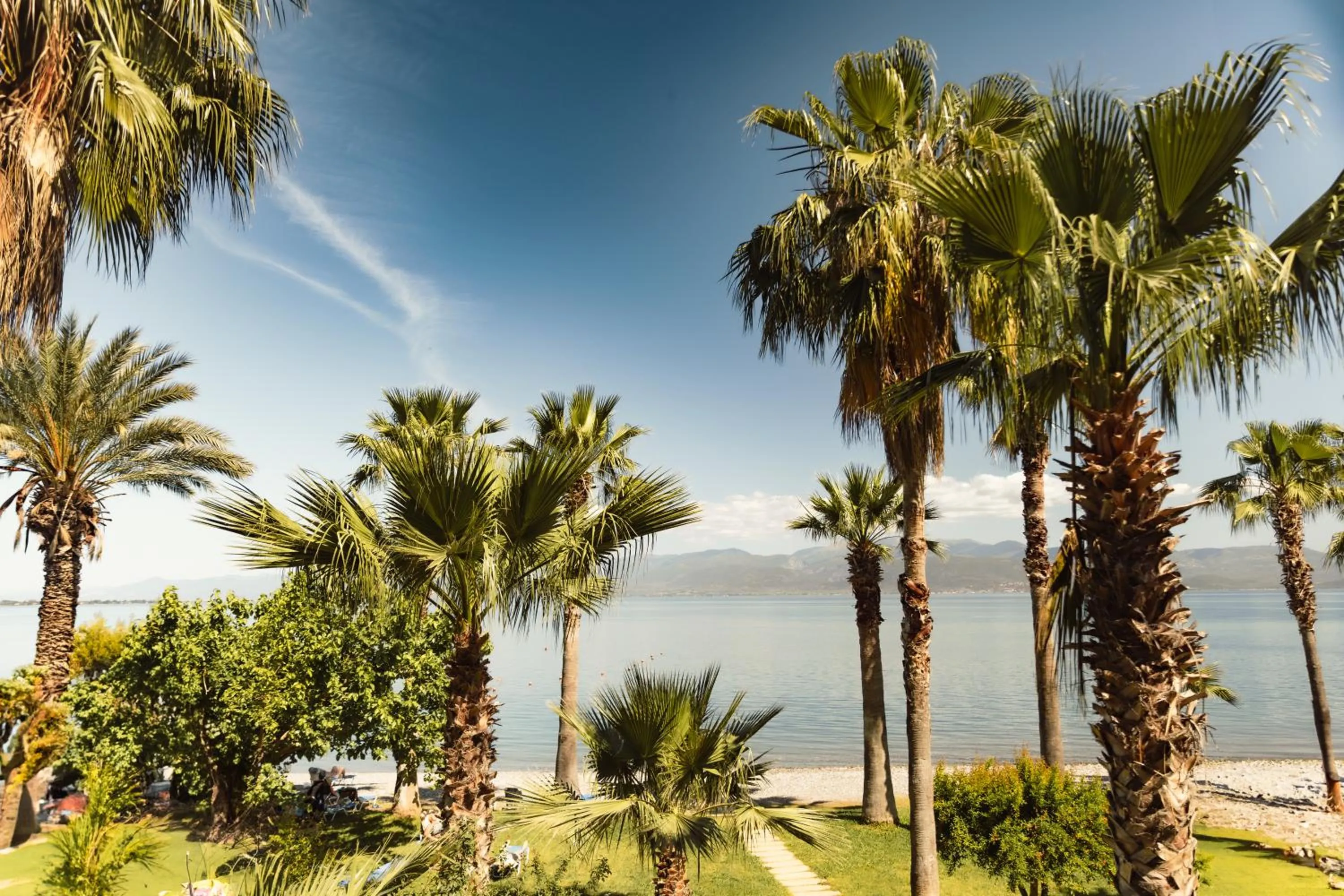 Garden in HOTEL SISSY