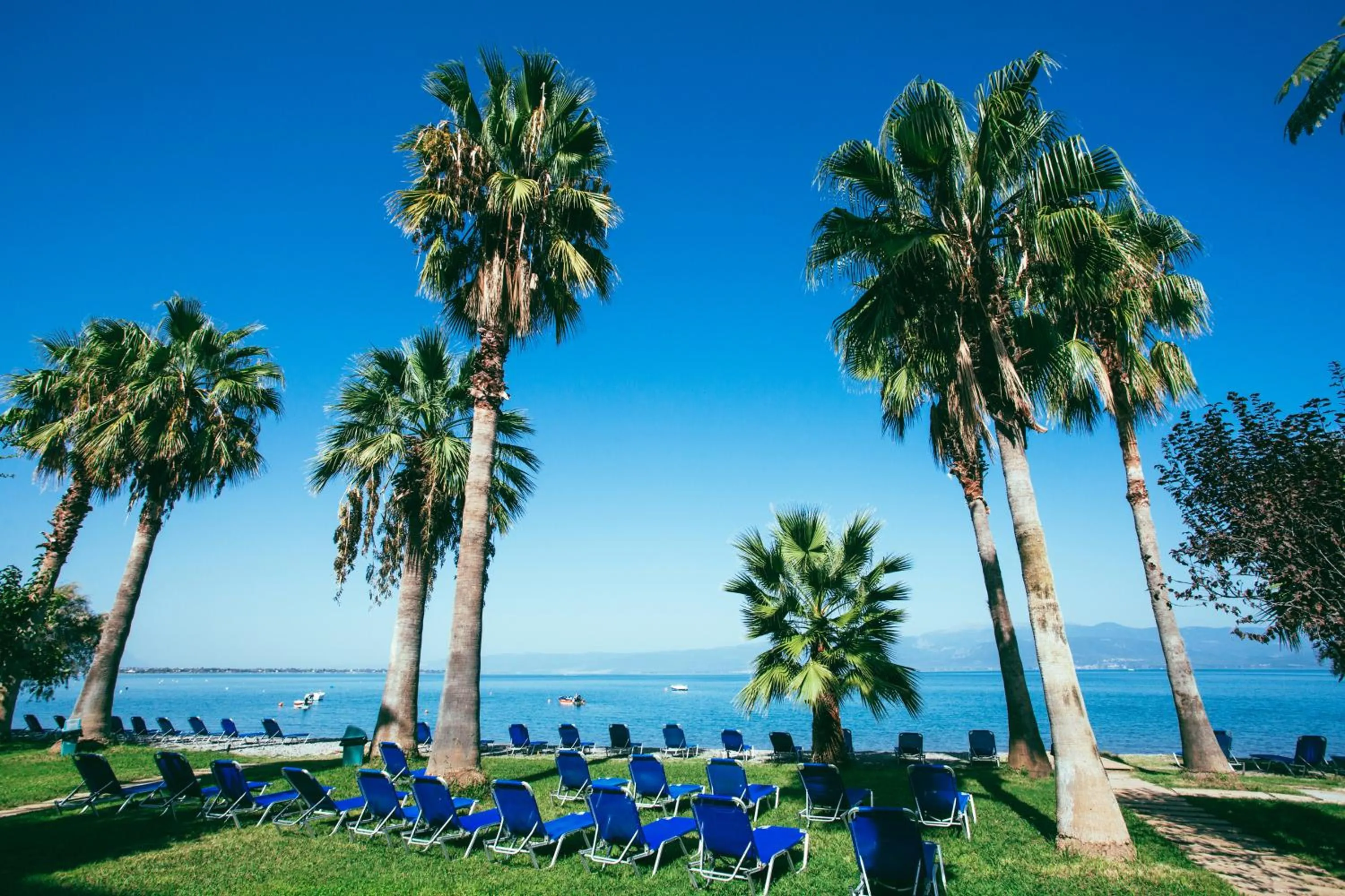 Garden in HOTEL SISSY