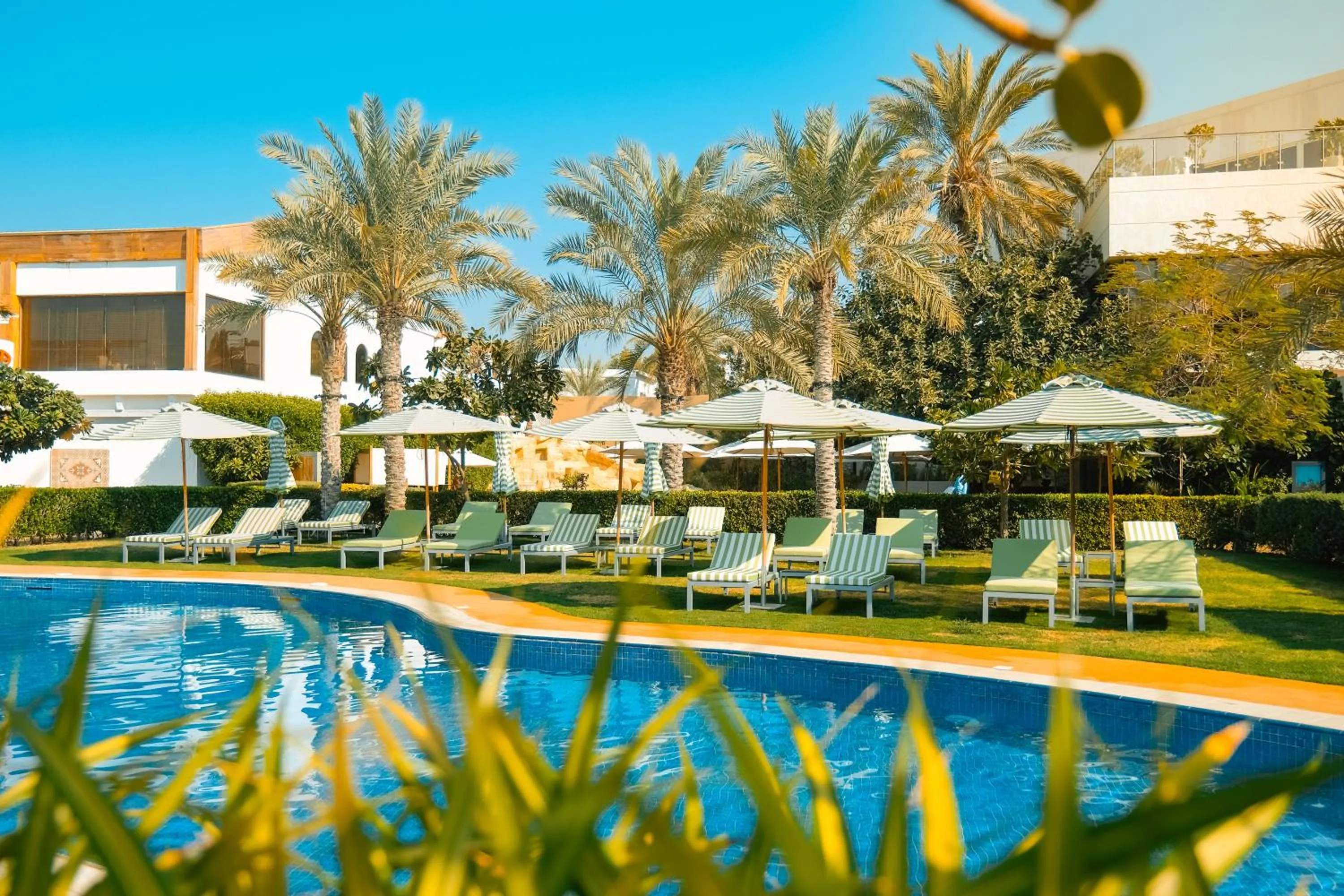 Swimming pool in Dubai Marine Beach Resort & Spa