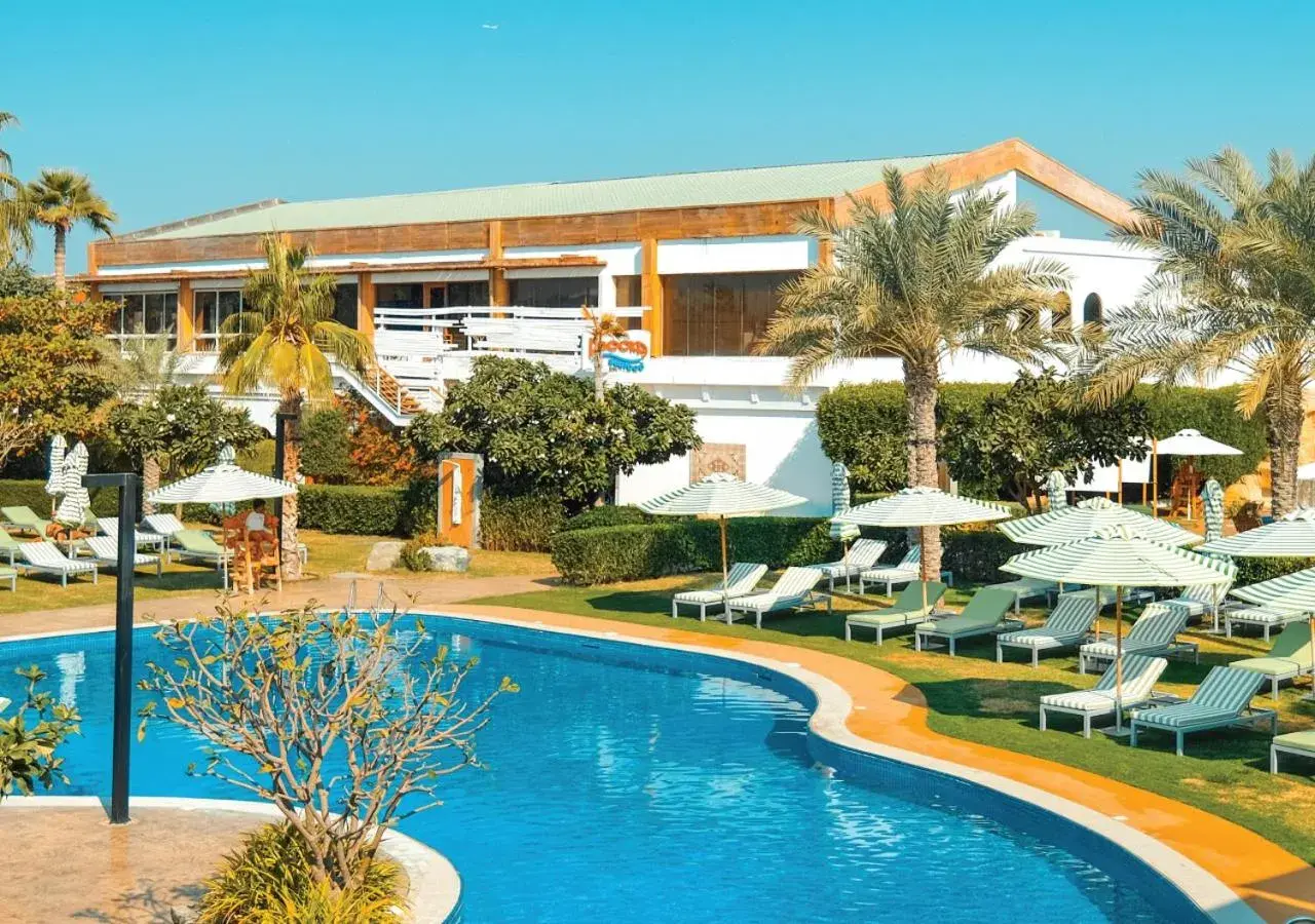 Swimming pool in Dubai Marine Beach Resort & Spa Swimming pool in Dubai Marine Beach Resort & Spa