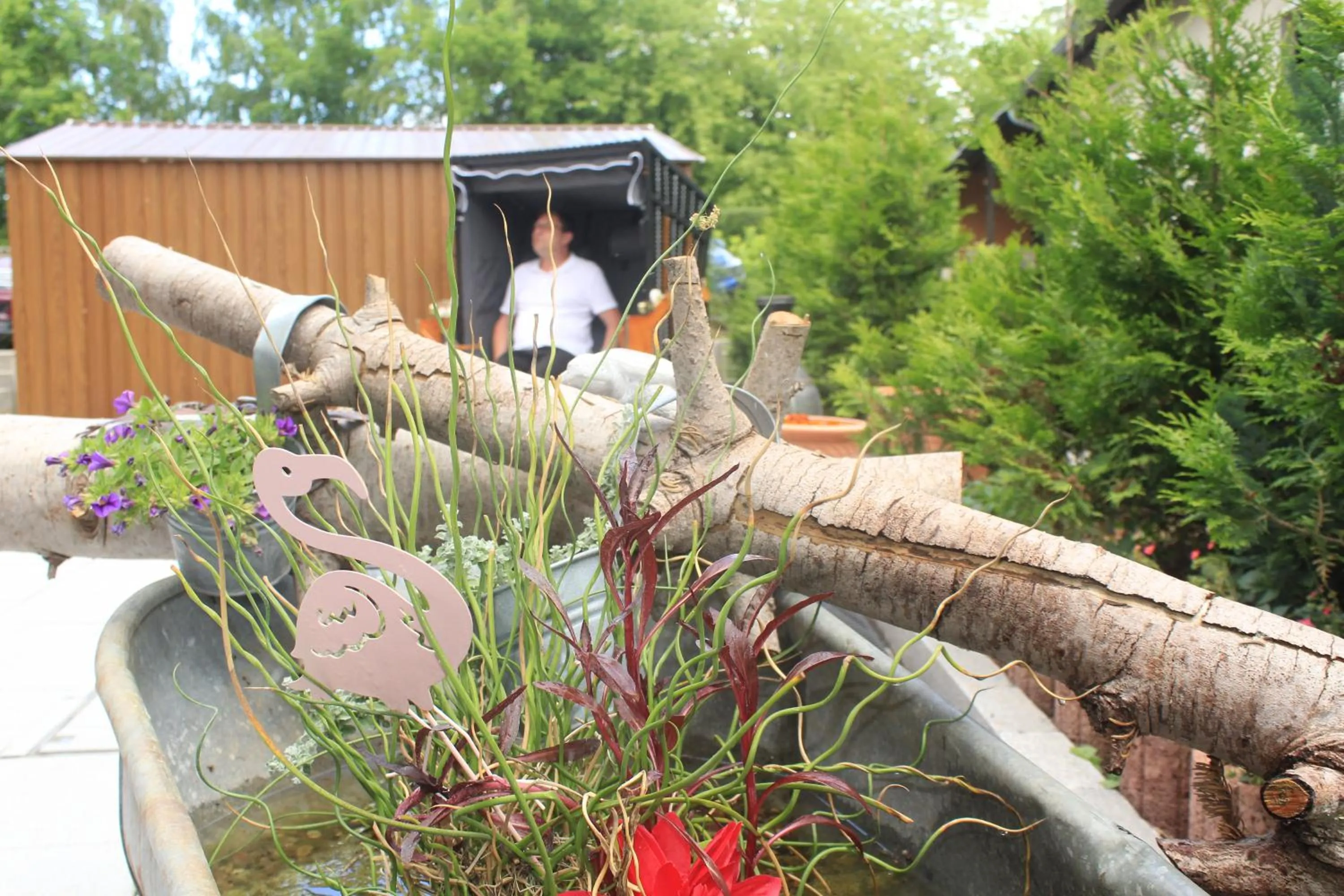 Garden in Hotel Reke