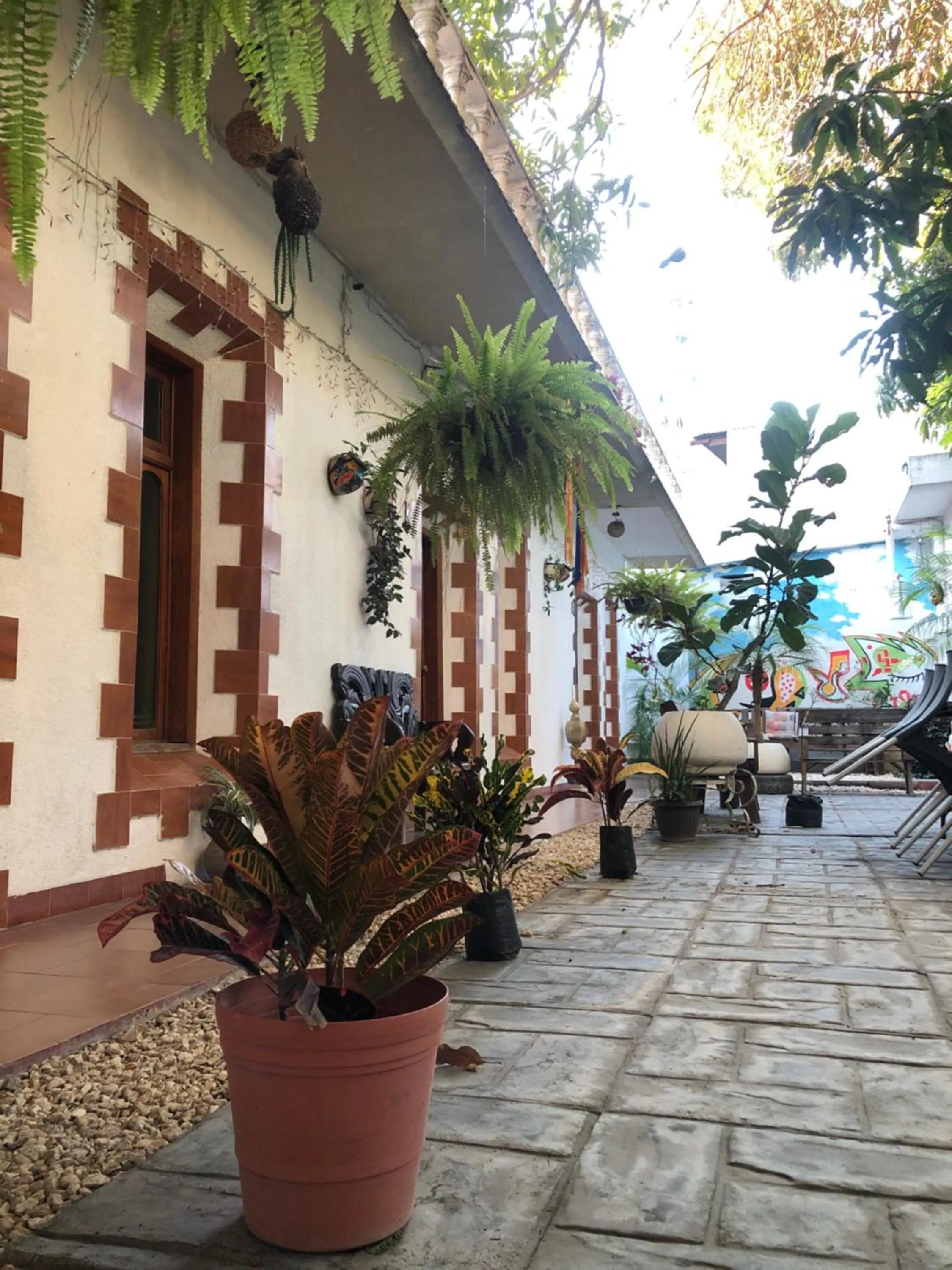 Patio in Hotel Boutique El Sueño del Coronel