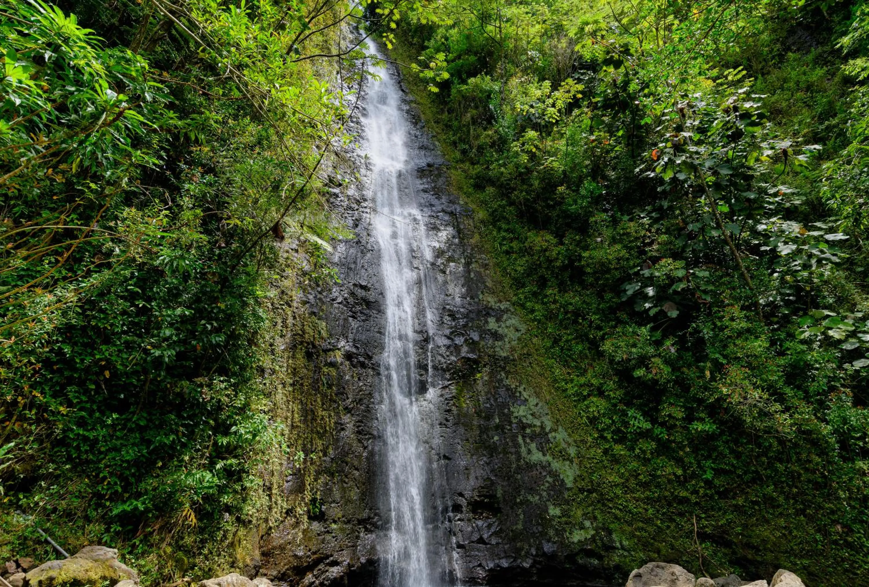 Natural landscape in Cozy Waikiki Studio at Aqua Aloha Surf
