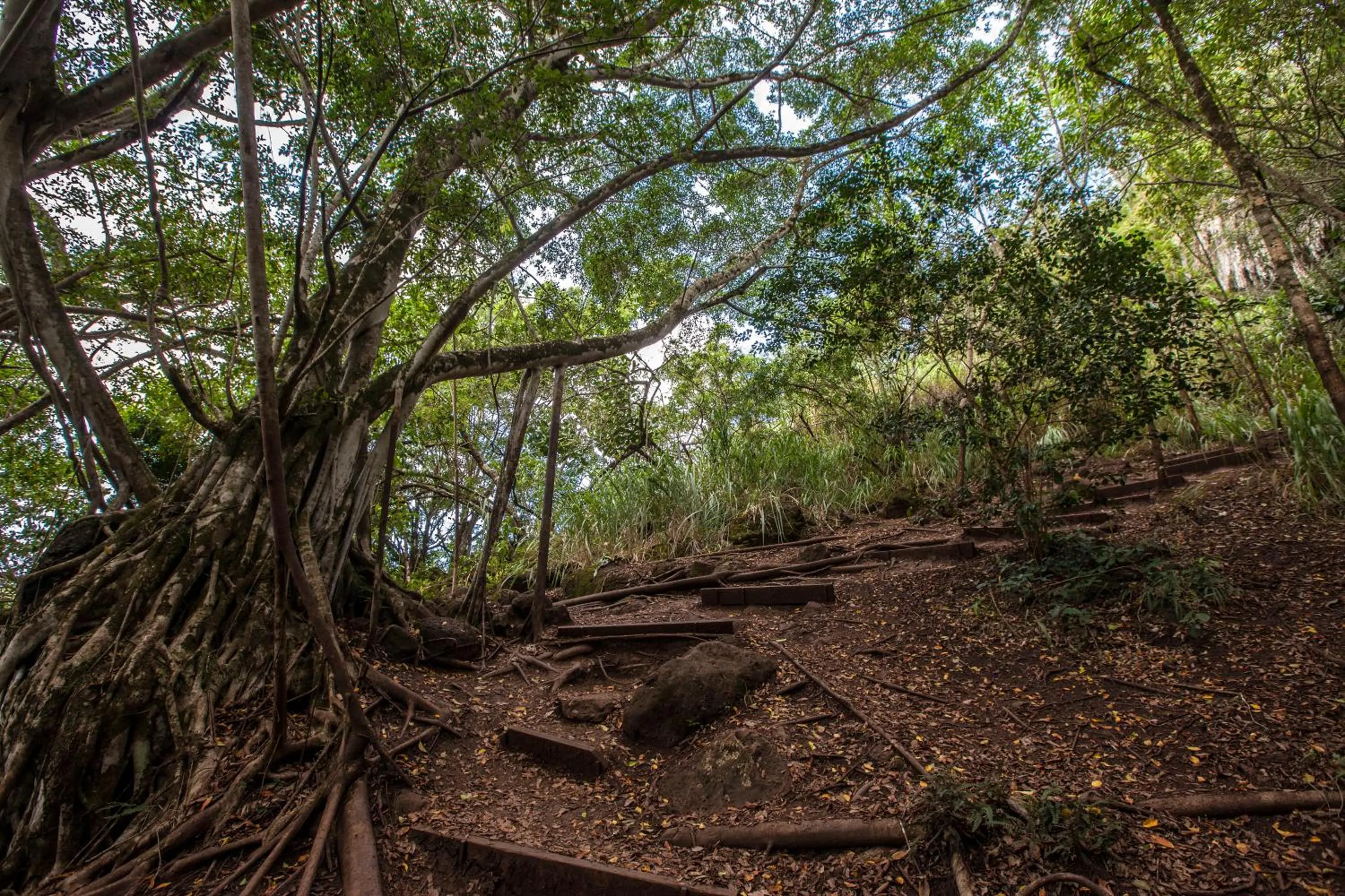 Natural landscape in Cozy Waikiki Studio at Aqua Aloha Surf