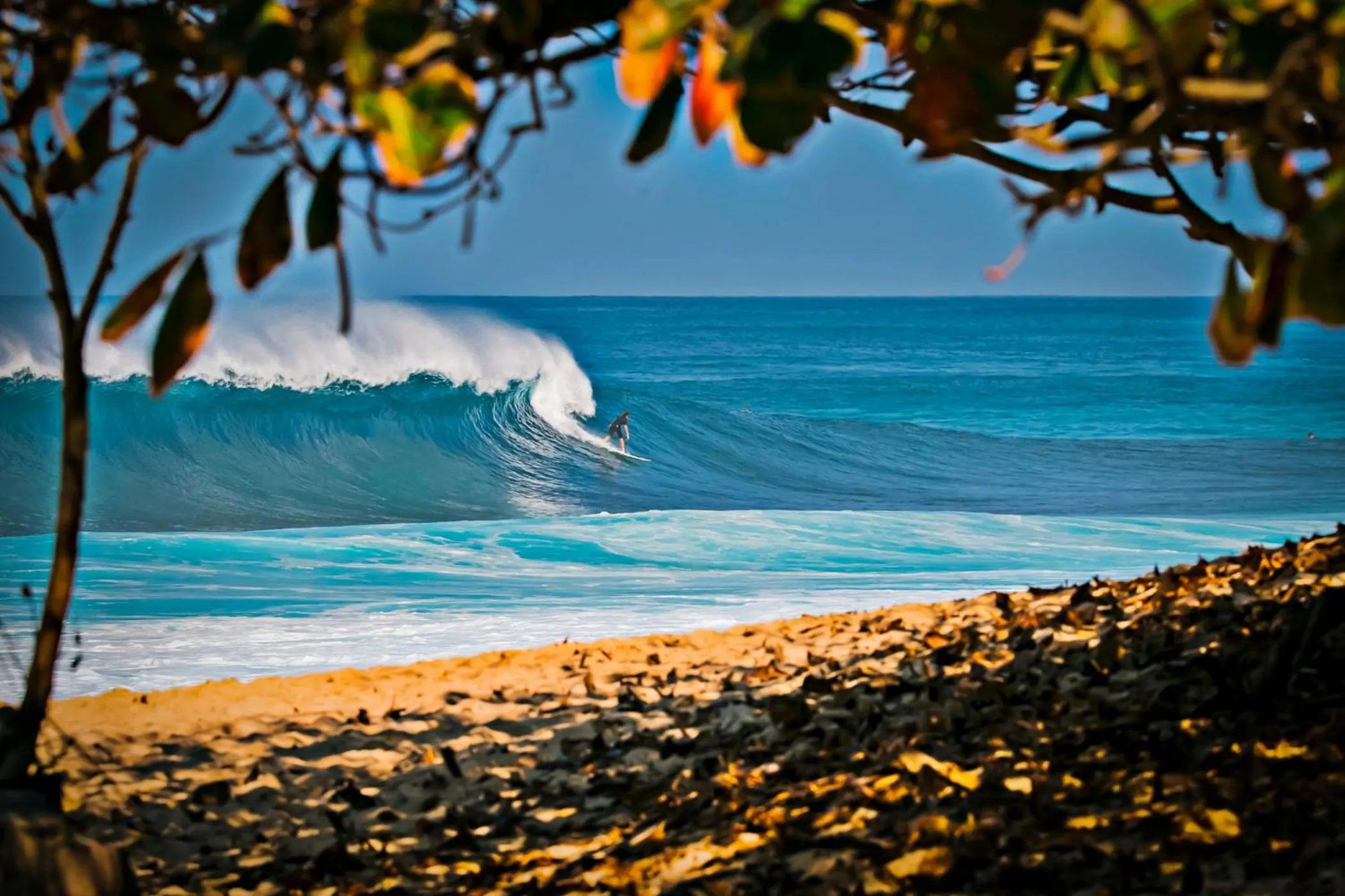 Day in Cozy Waikiki Studio at Aqua Aloha Surf