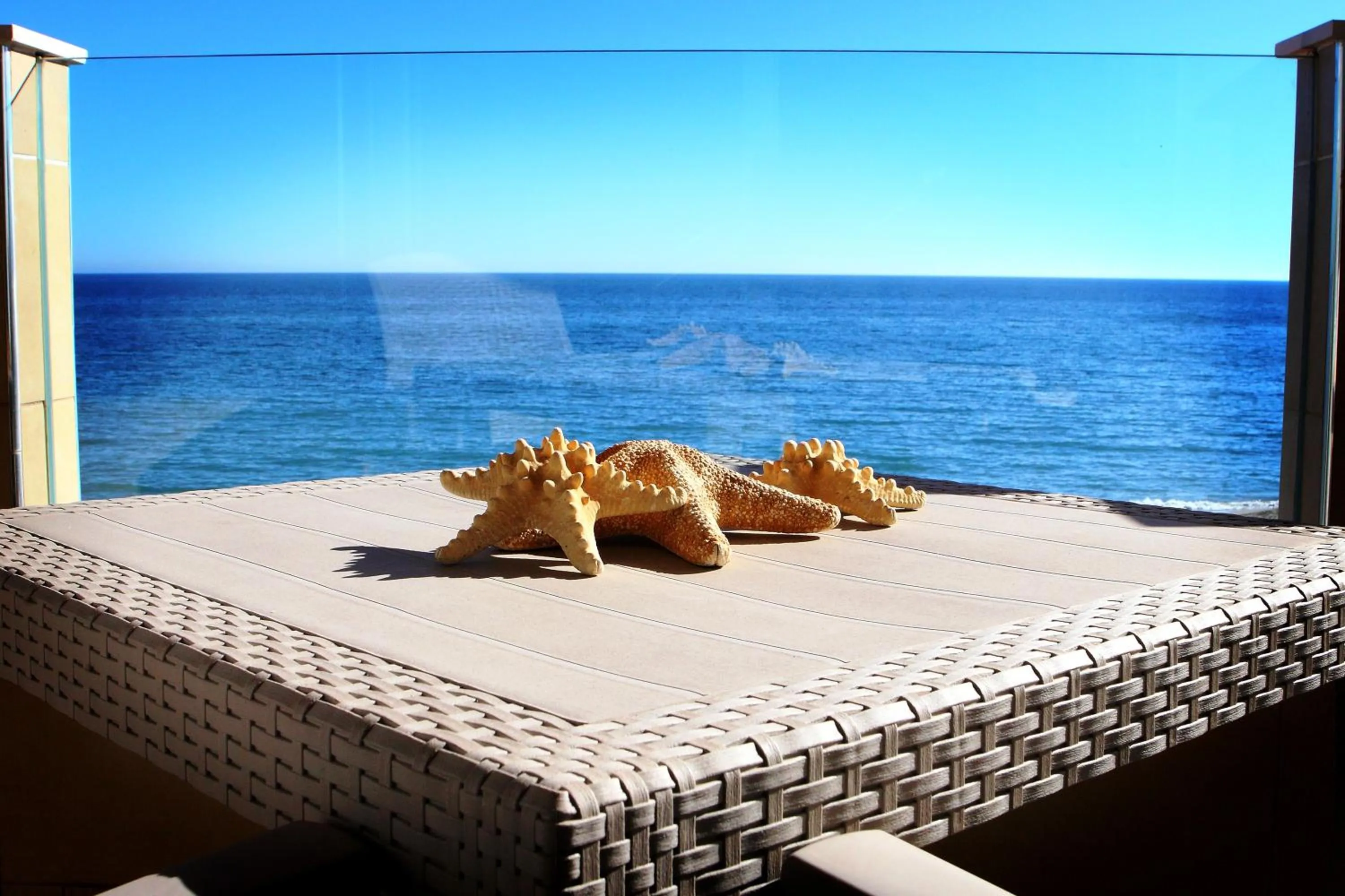 View (from property/room) in Vegasol Playa AT