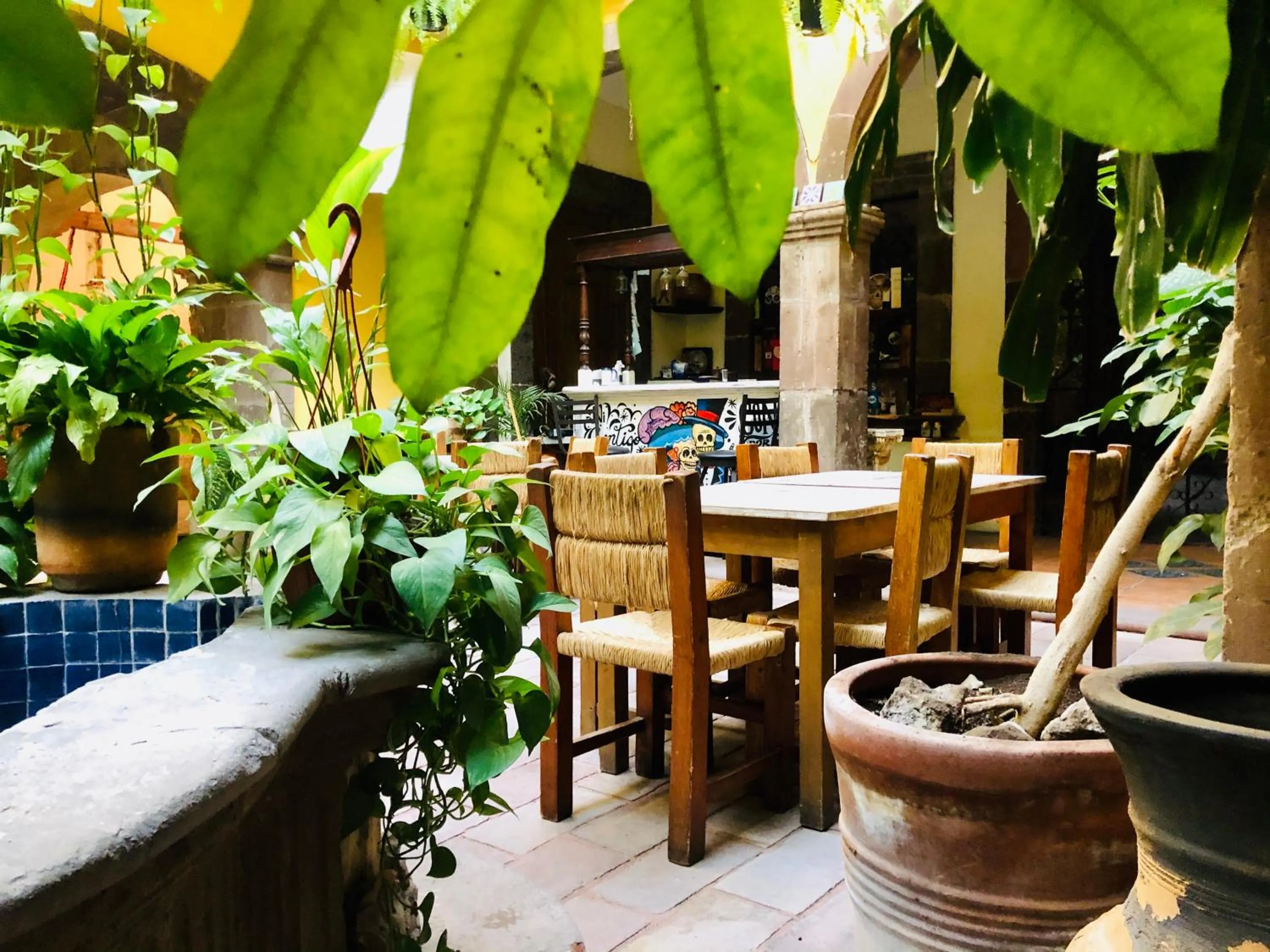 Lounge or bar in Hotel Mansión Virreyes by Rotamundos