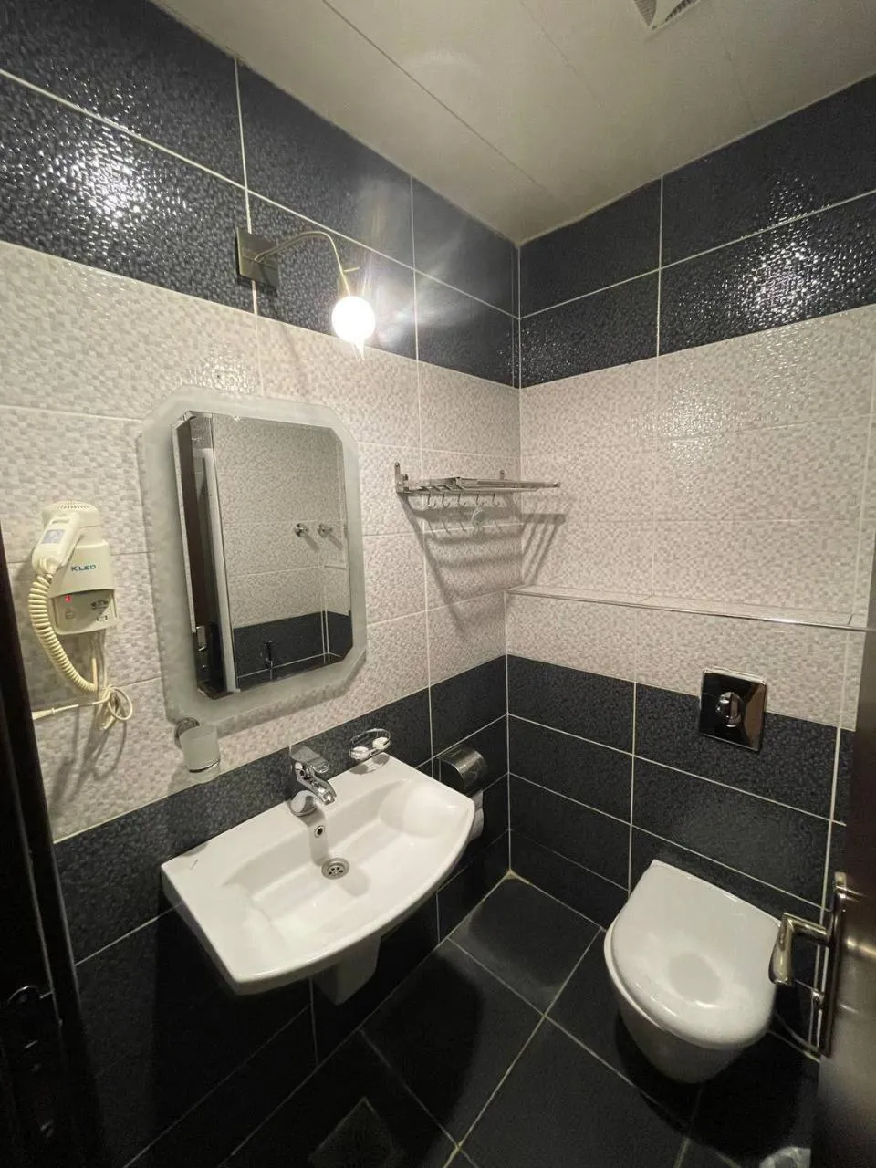 Toilet in Hotel Seever