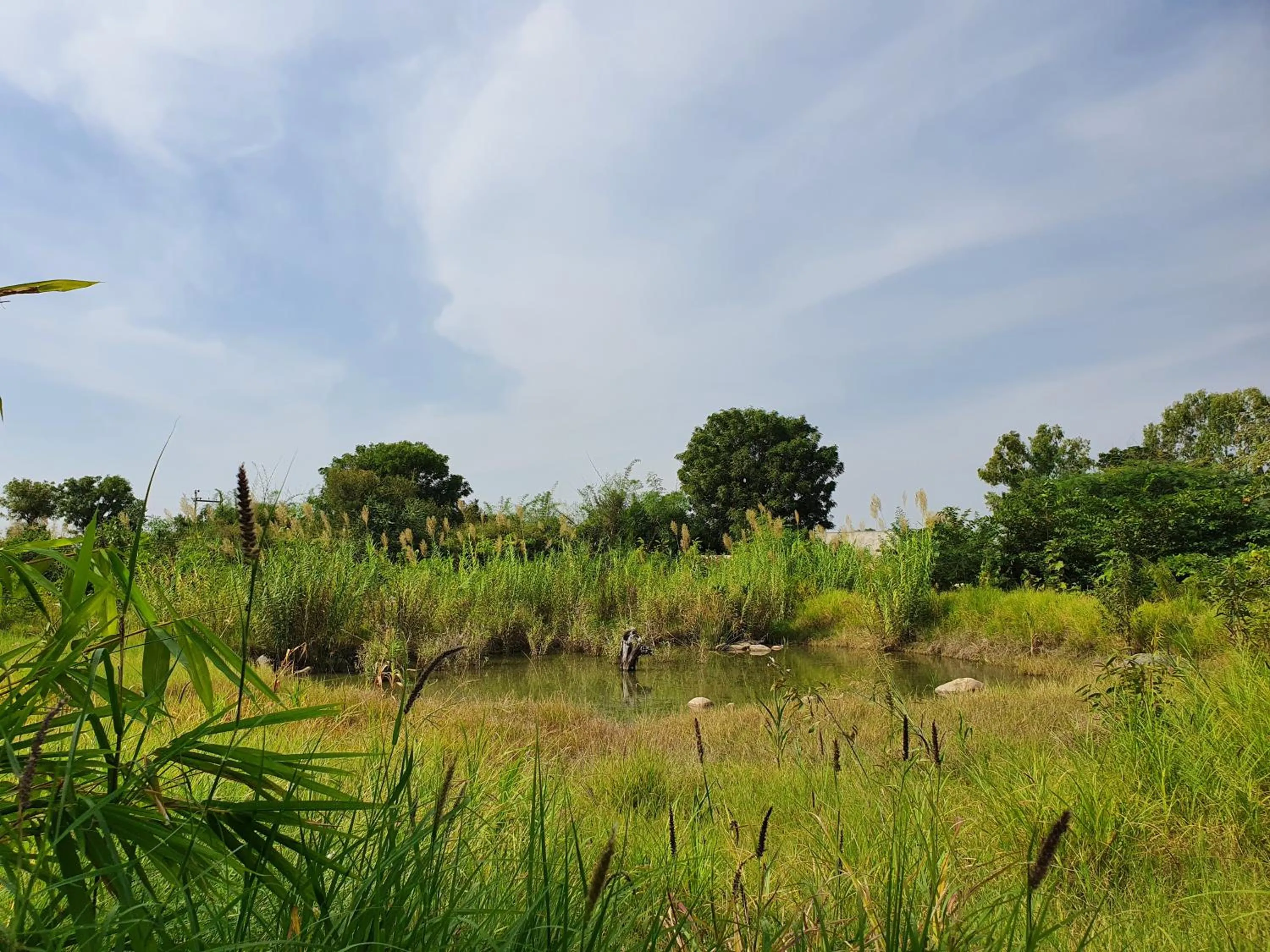 View (from property/room) in Bijapur Lodge Jawai