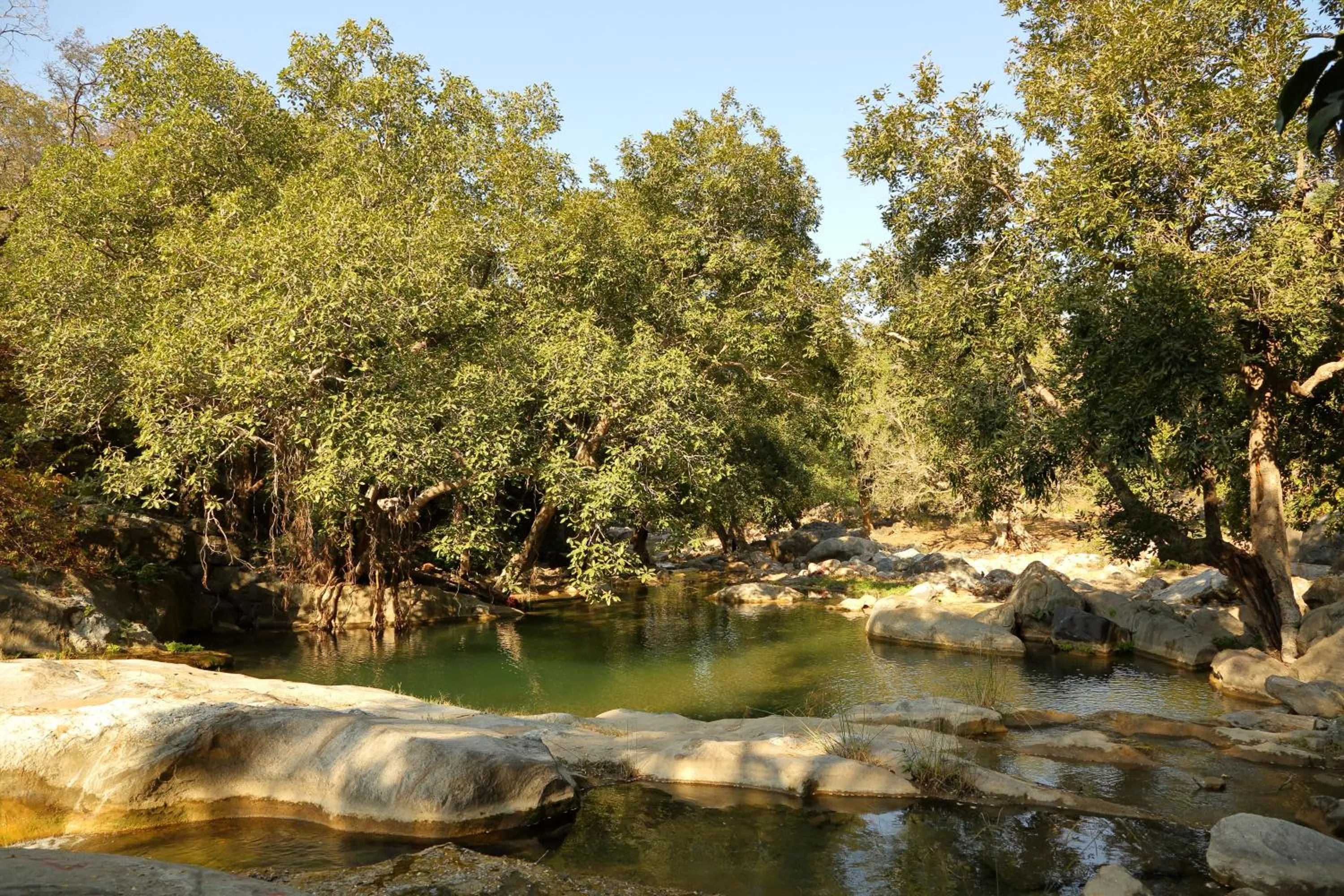 Natural landscape in Bijapur Lodge Jawai