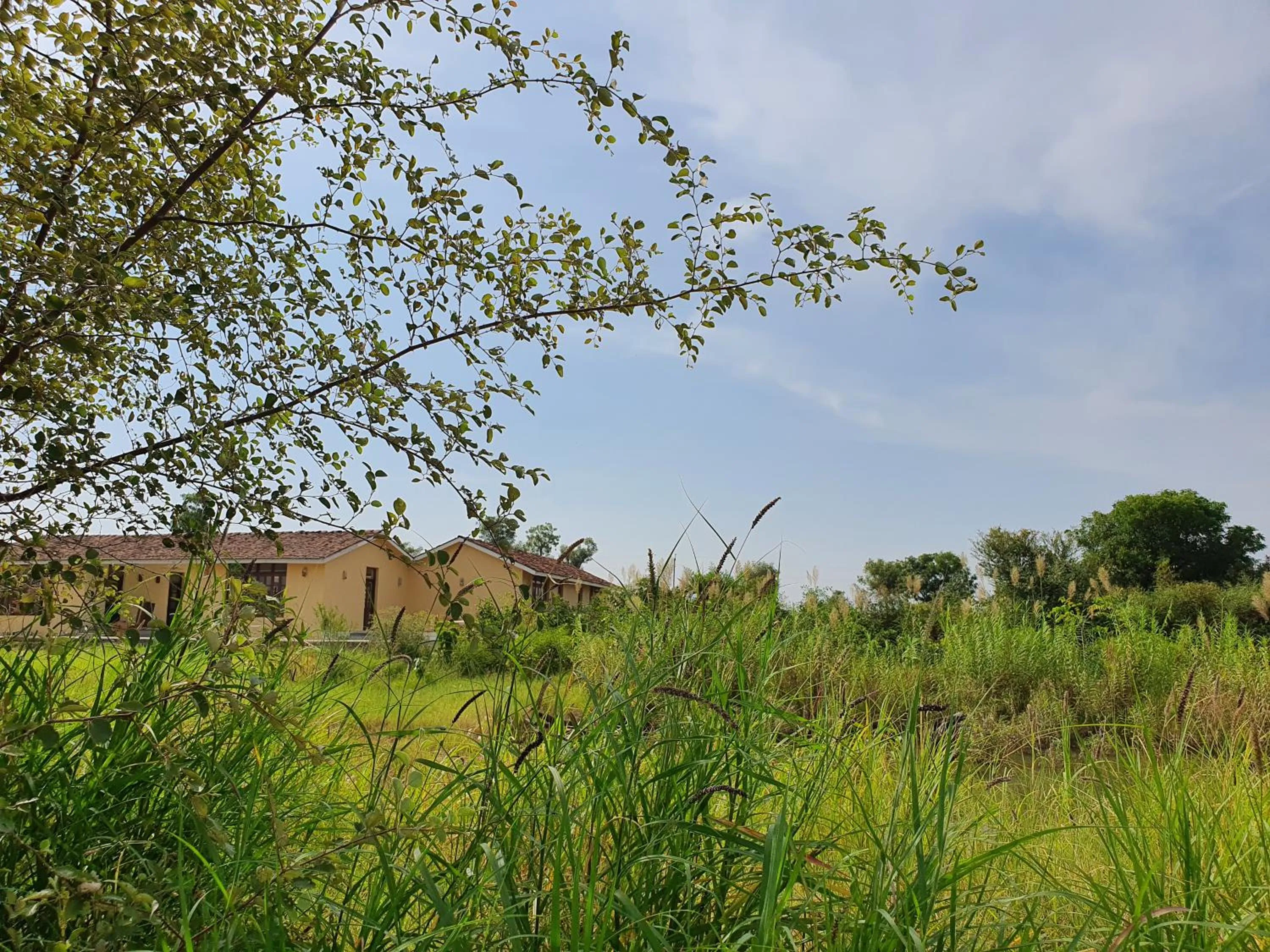 View (from property/room) in Bijapur Lodge Jawai