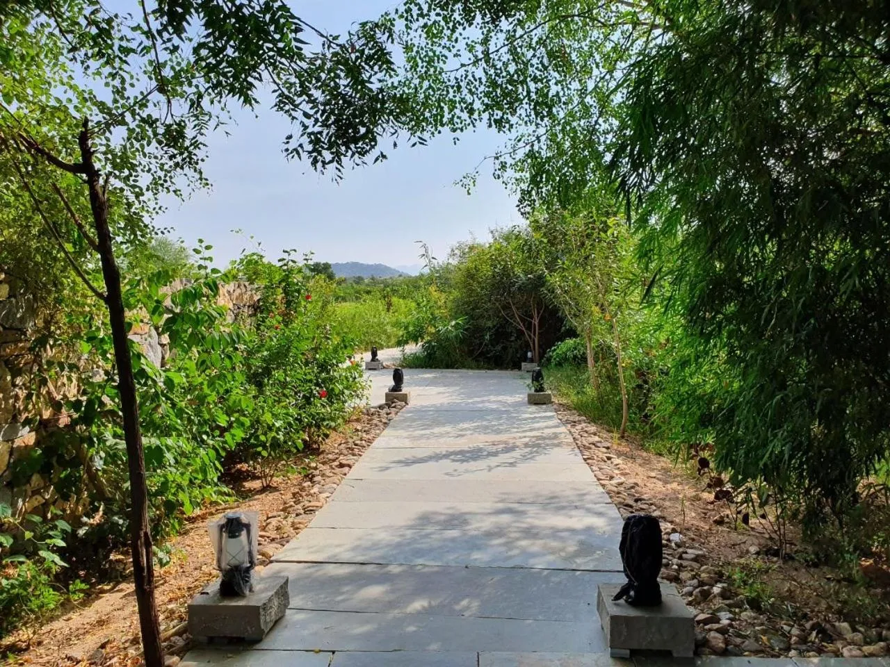 Property building in Bijapur Lodge Jawai