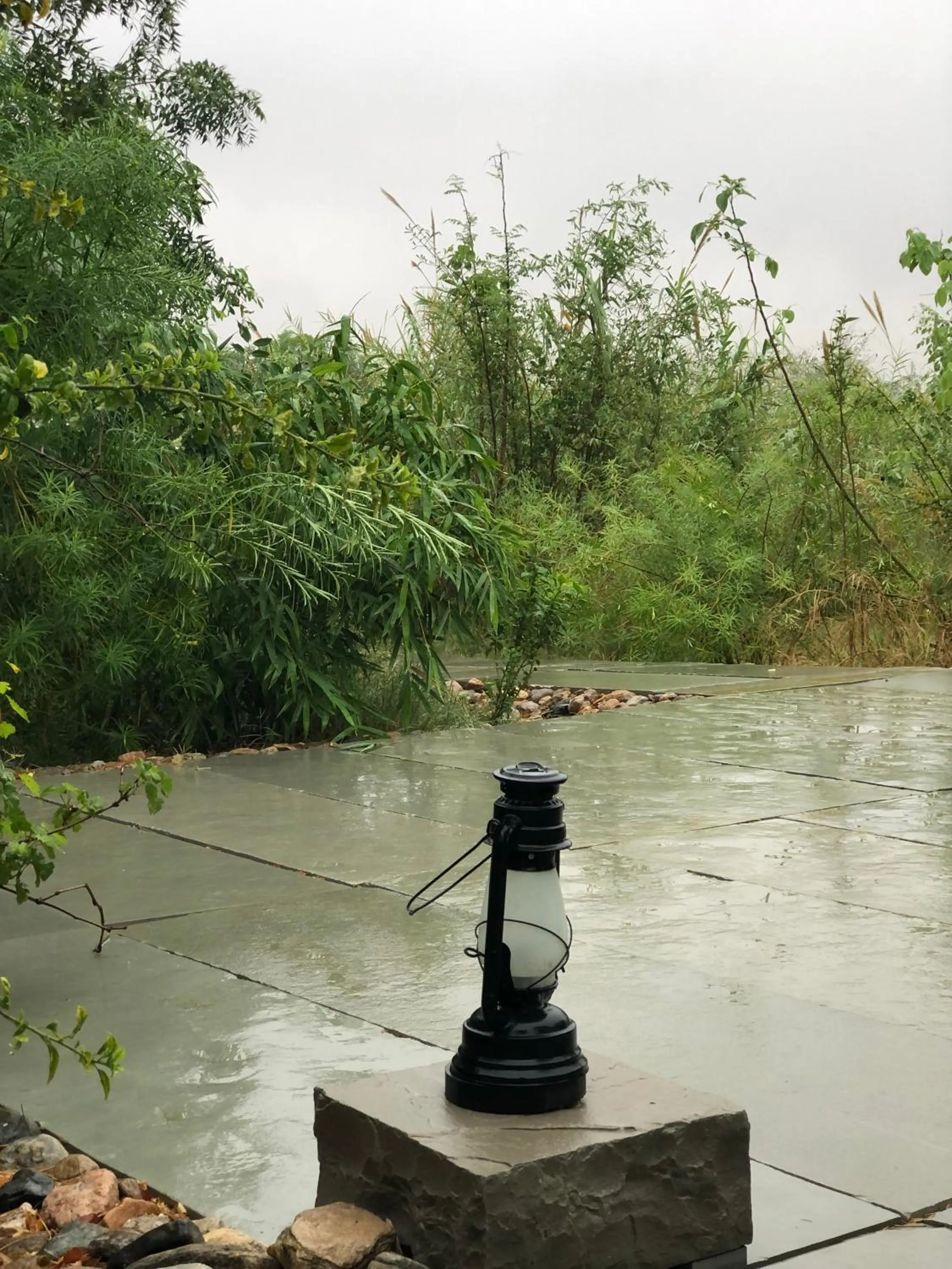 Other in Bijapur Lodge Jawai