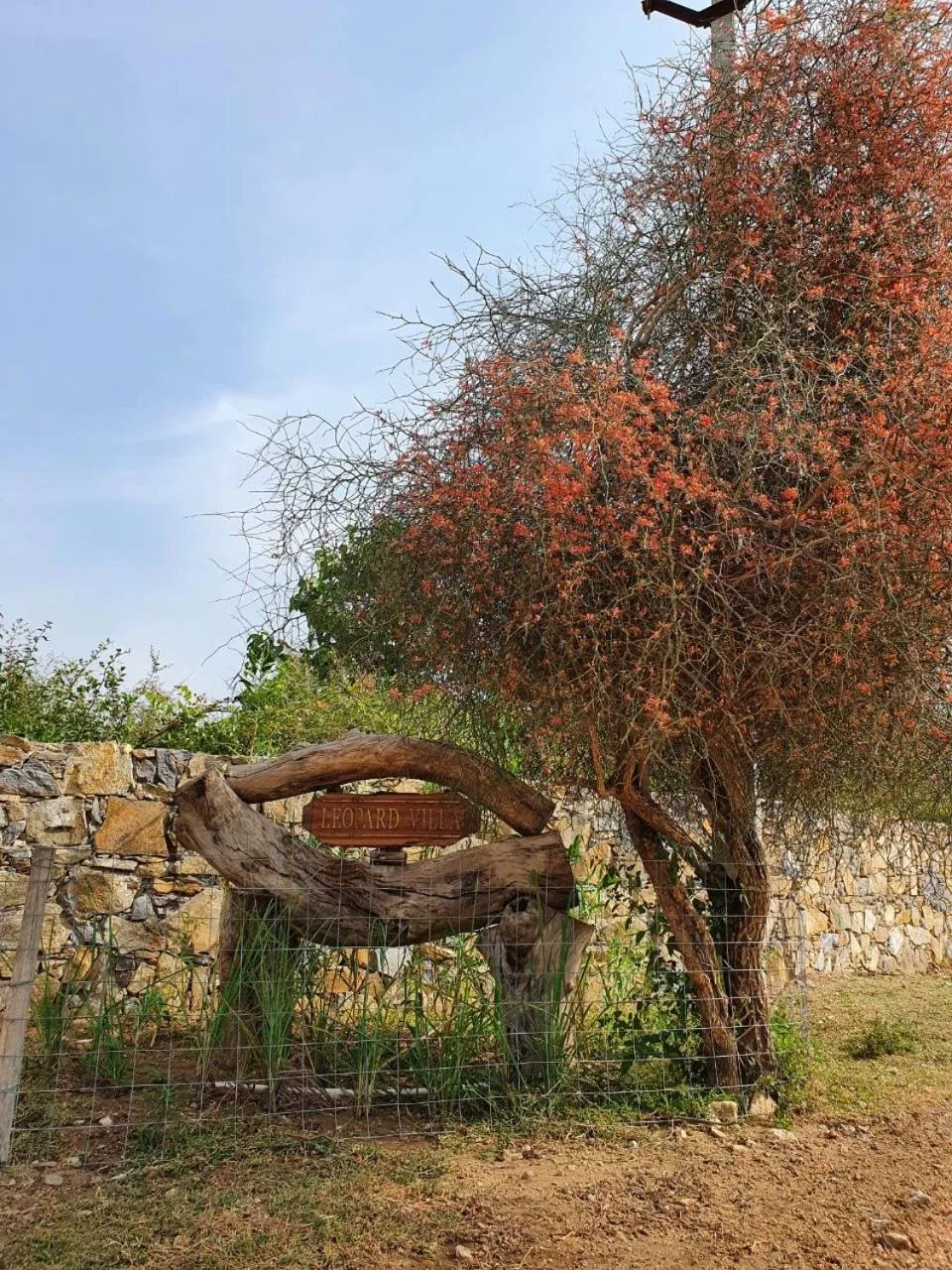 Property building in Bijapur Lodge Jawai